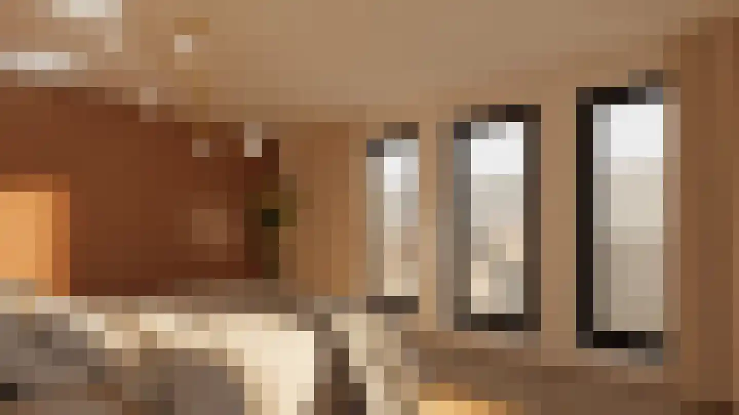 Klein Belgie 23 Vijfhuizen thumbnail 30