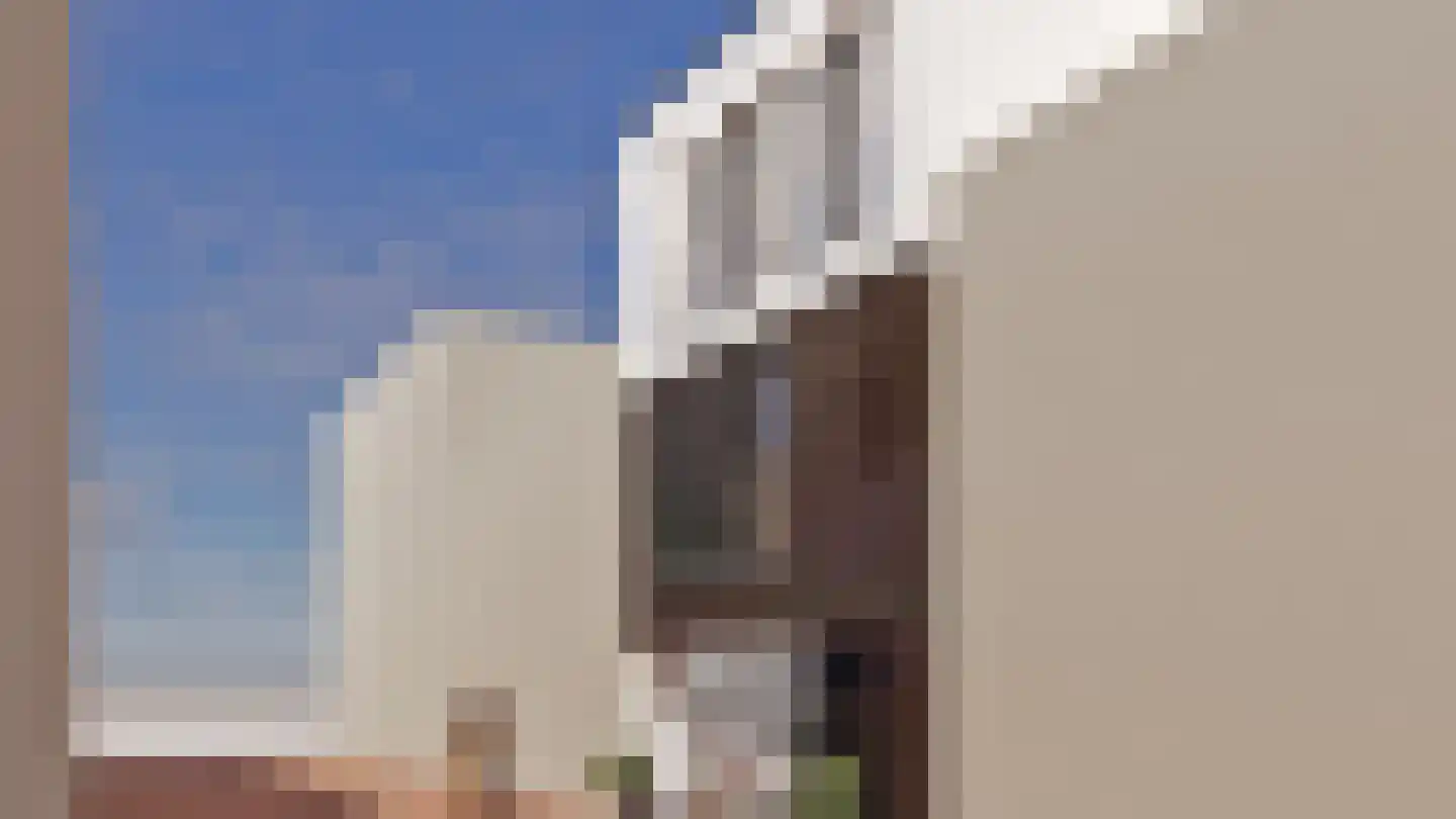 Klein Belgie 23 Vijfhuizen thumbnail 5