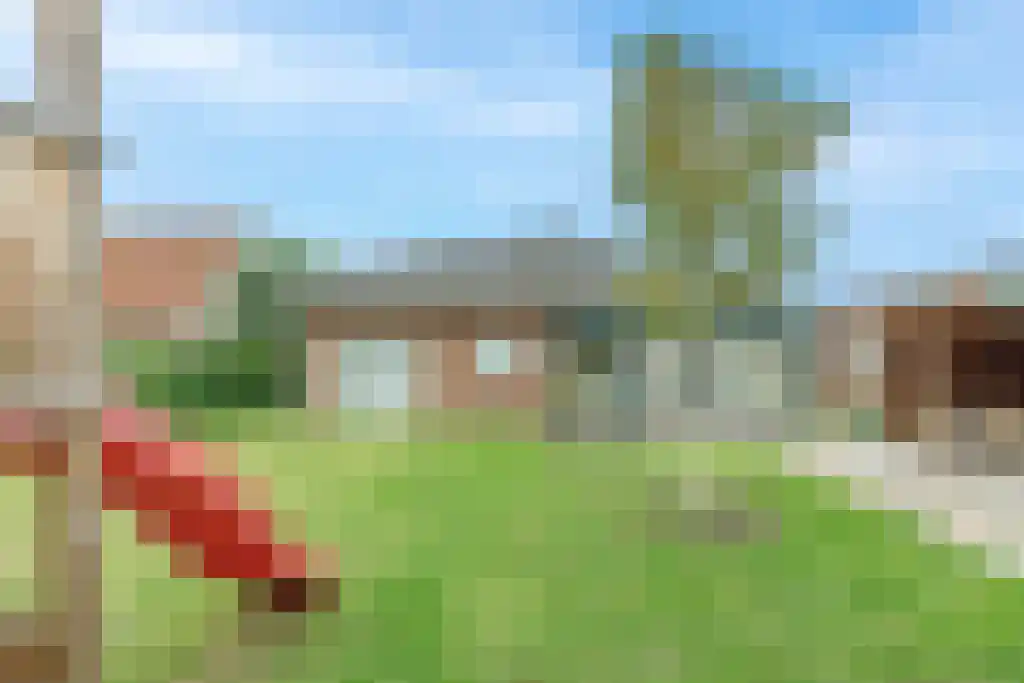Klein Belgie 23 Vijfhuizen thumbnail 5