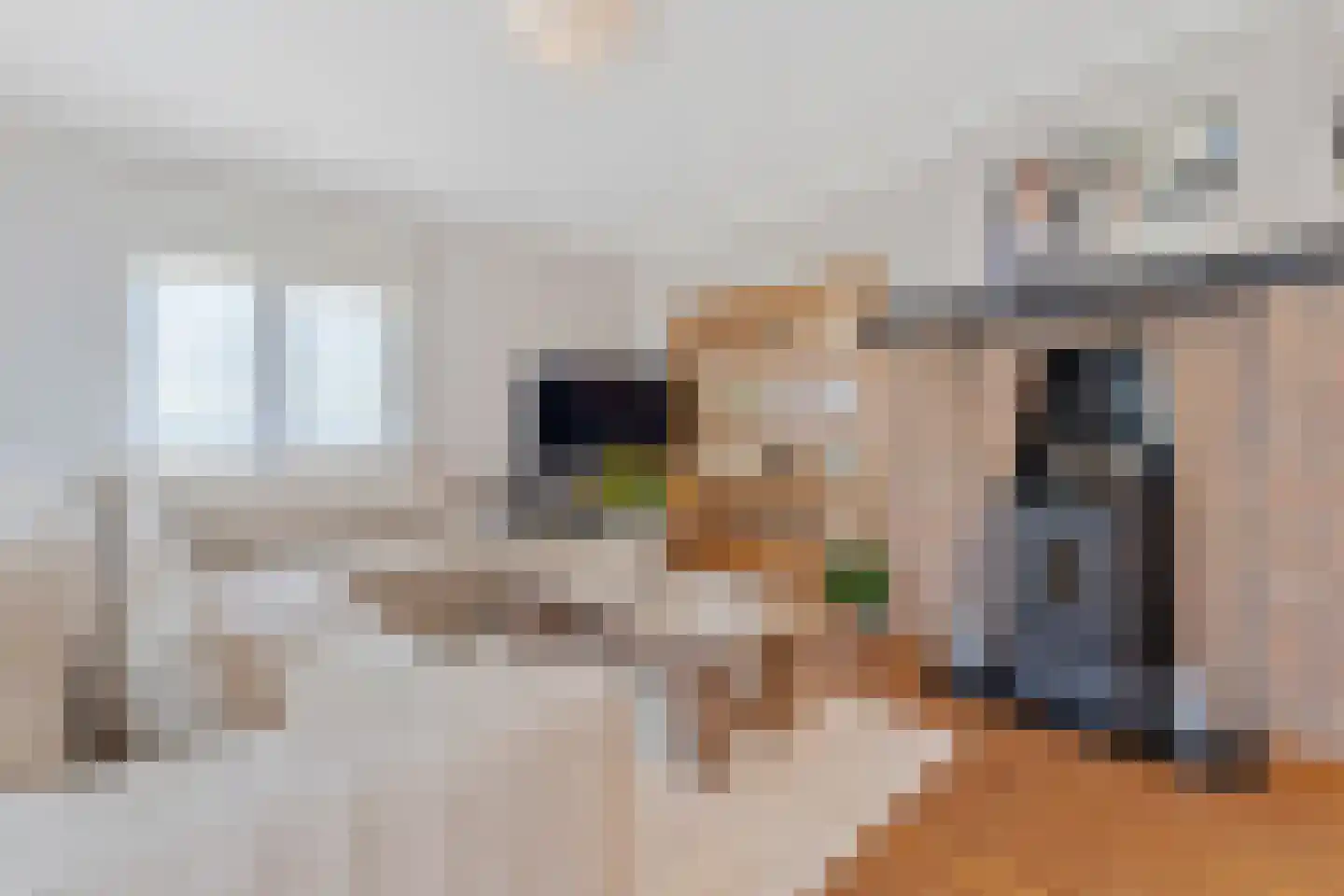 Klein Belgie 23 Vijfhuizen thumbnail 5