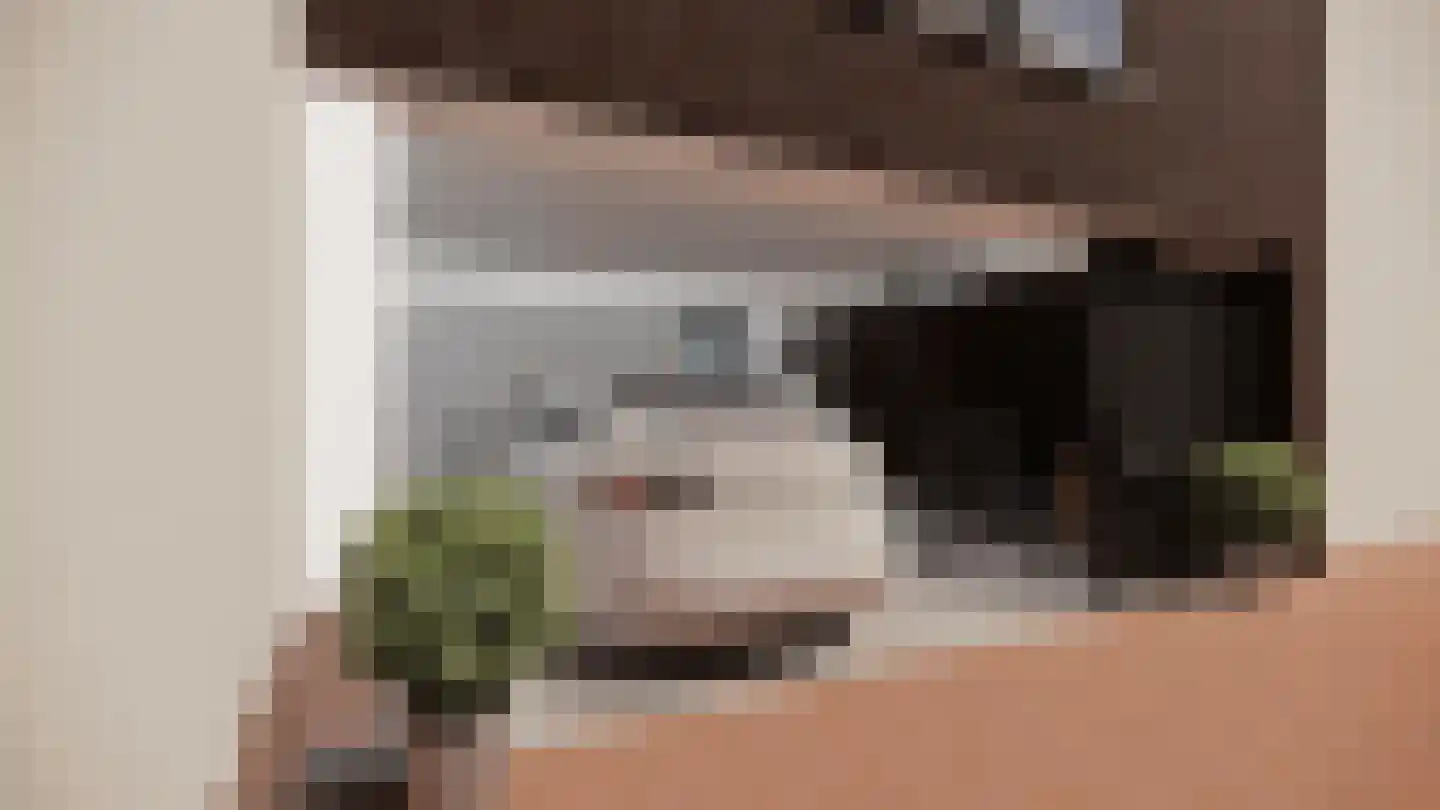 Klein Belgie 23 Vijfhuizen thumbnail 7