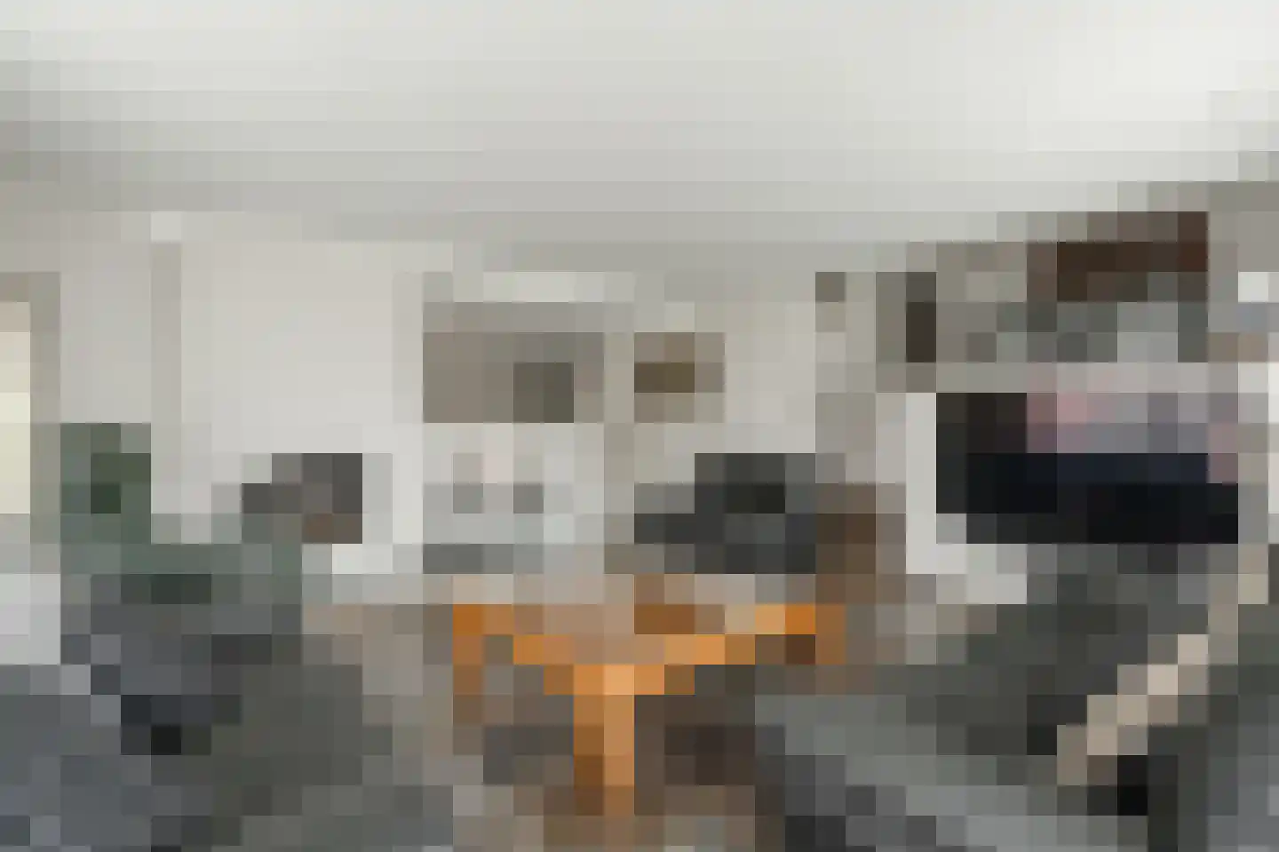 Klein Belgie 23 Vijfhuizen thumbnail 9