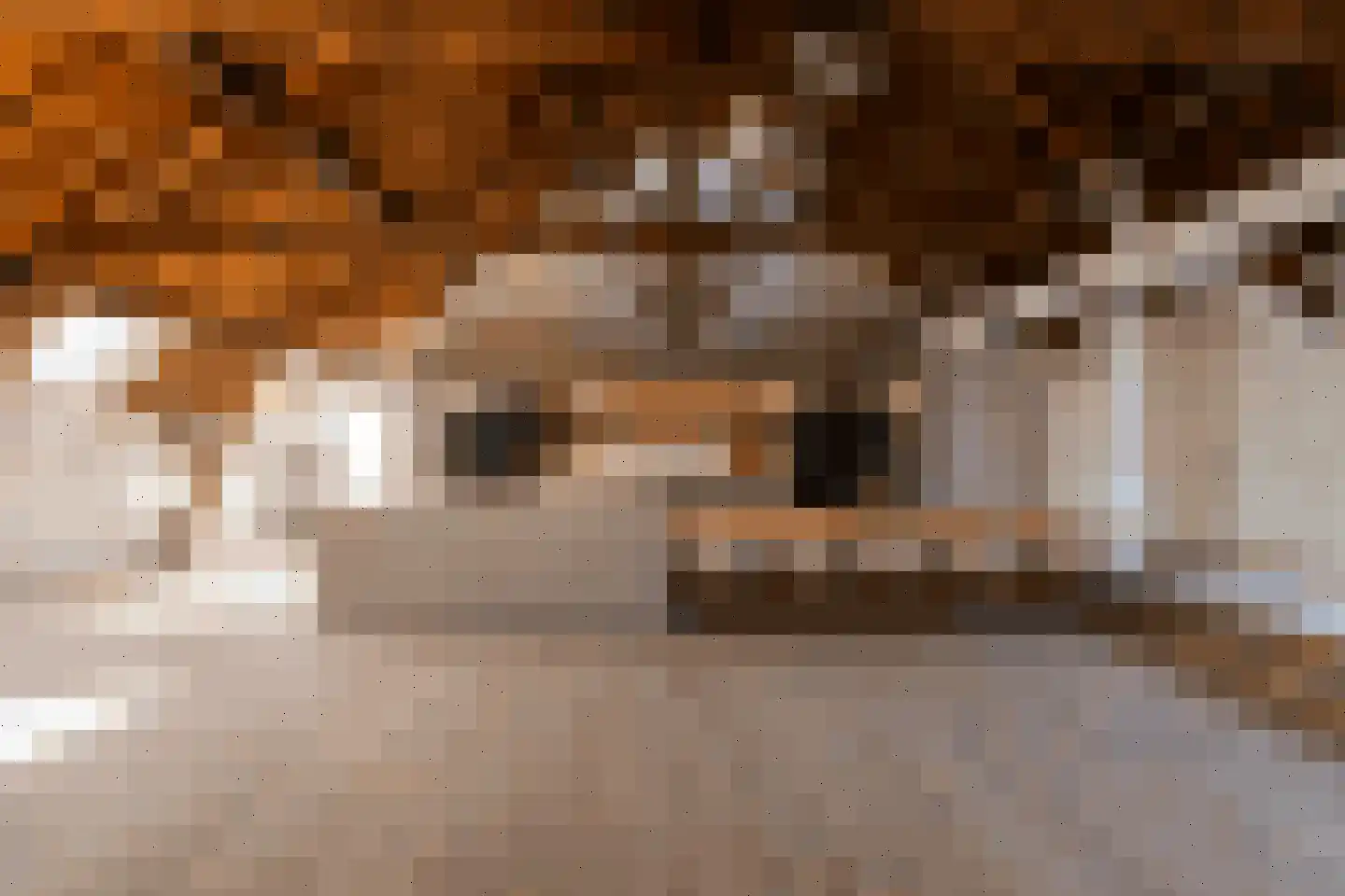 Klein Belgie 24 3 Vijfhuizen thumbnail 24