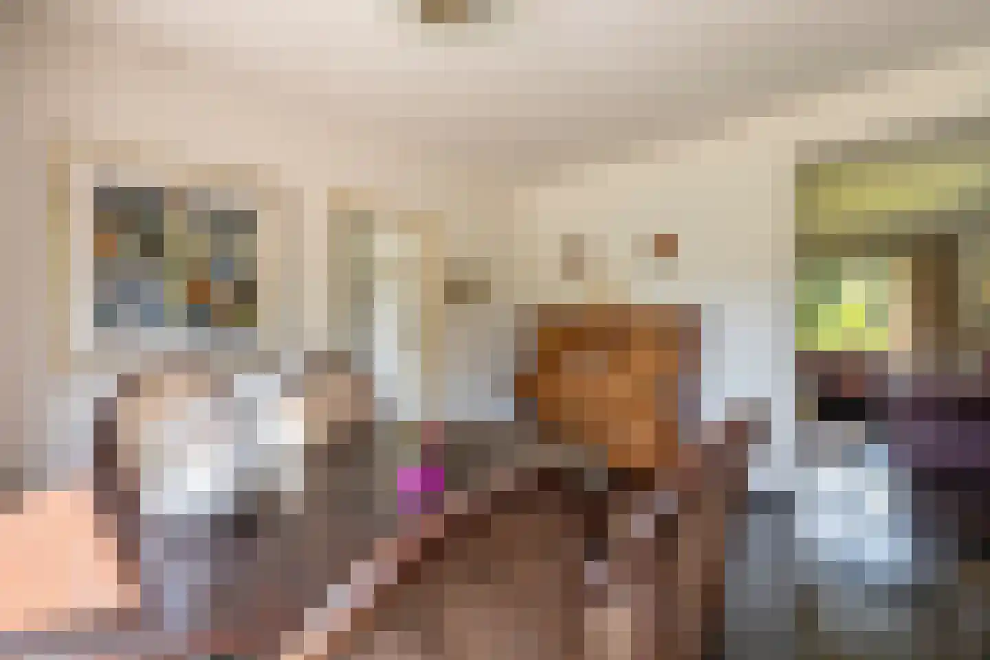 Klein Belgie 24 Vijfhuizen thumbnail 10