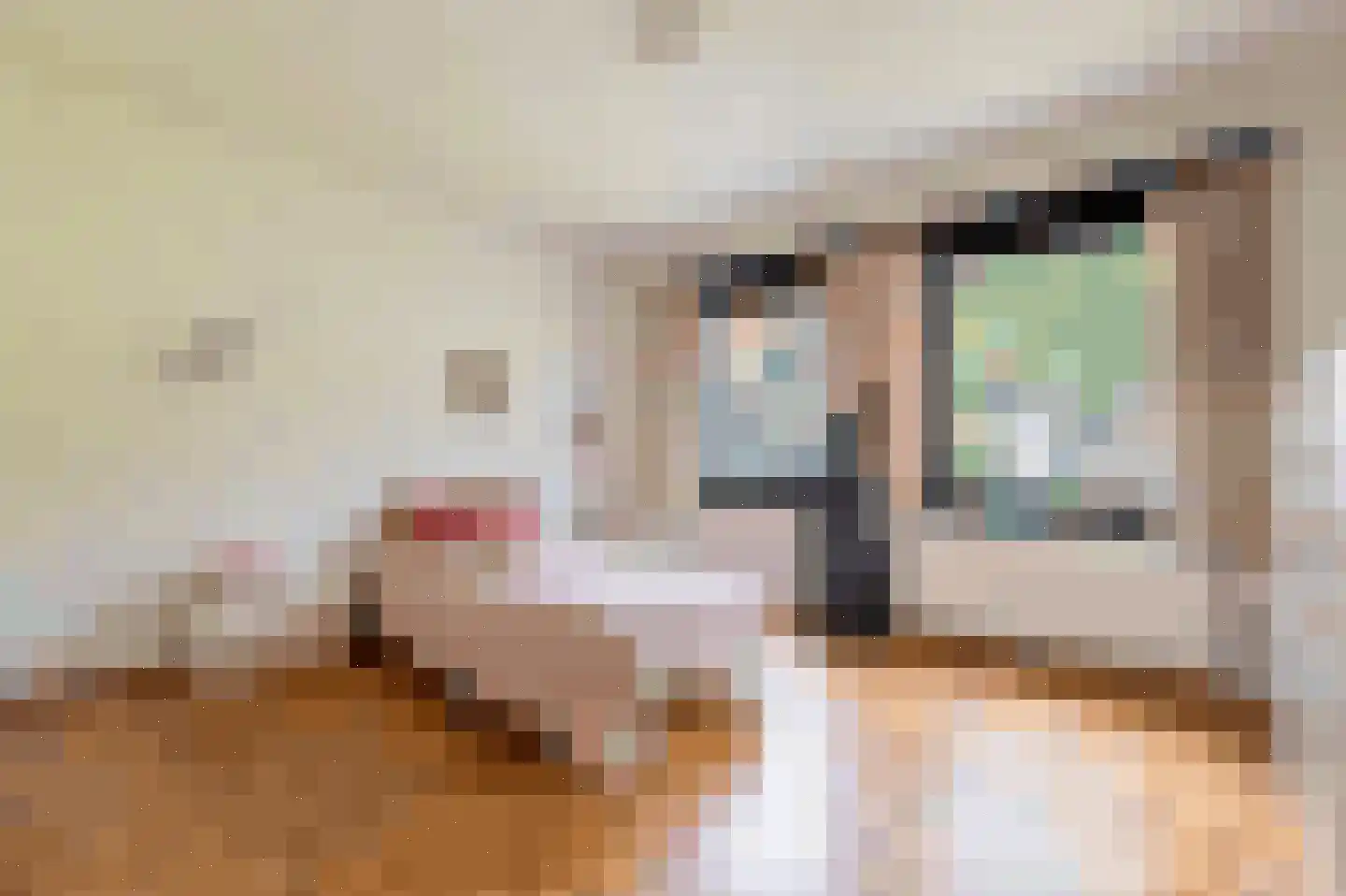 Klein Belgie 24 Vijfhuizen thumbnail 13