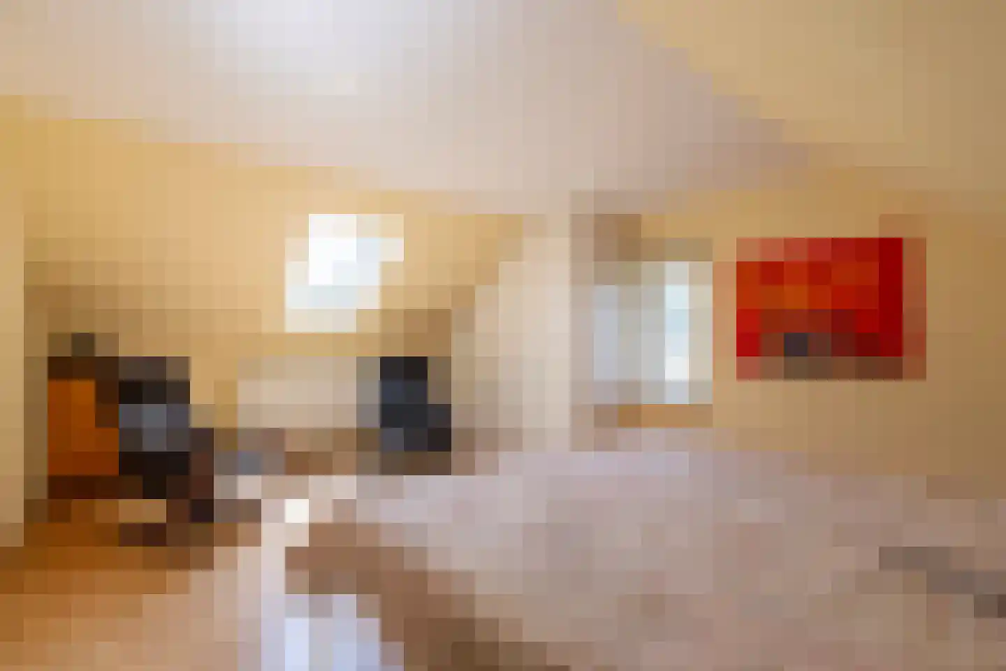 Klein Belgie 24 Vijfhuizen thumbnail 17