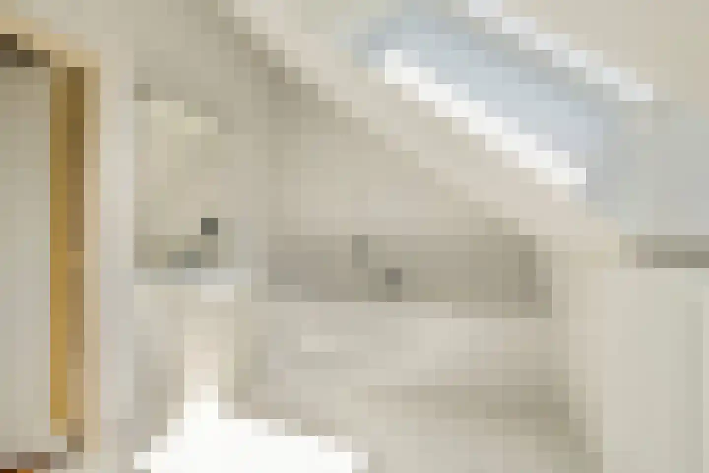 Klein Belgie 24 Vijfhuizen thumbnail 20
