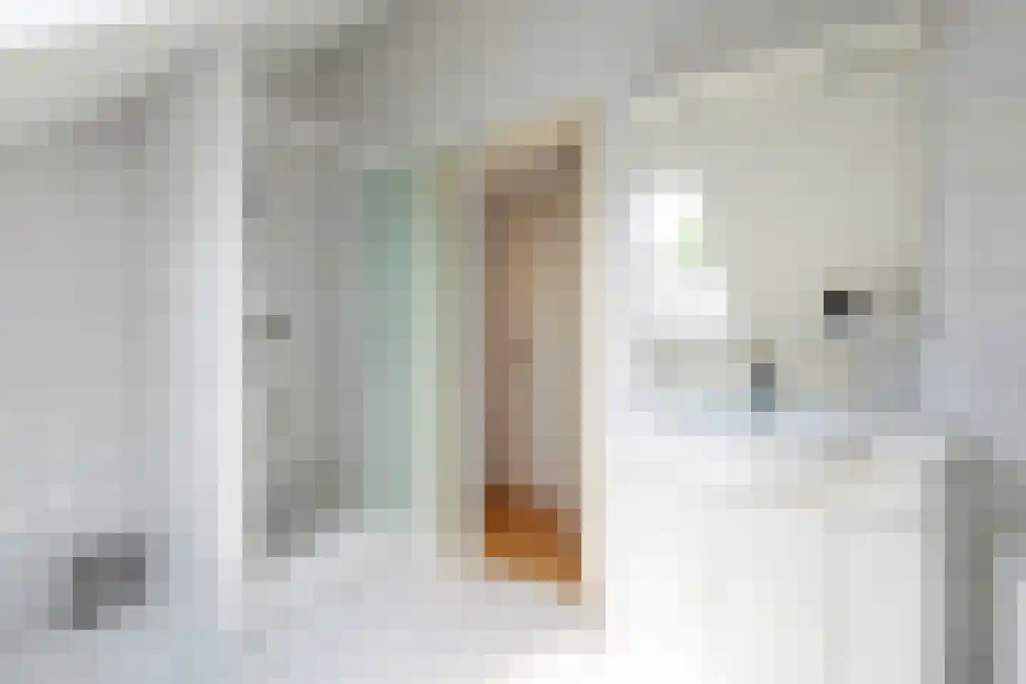 Klein Belgie 24 Vijfhuizen thumbnail 21