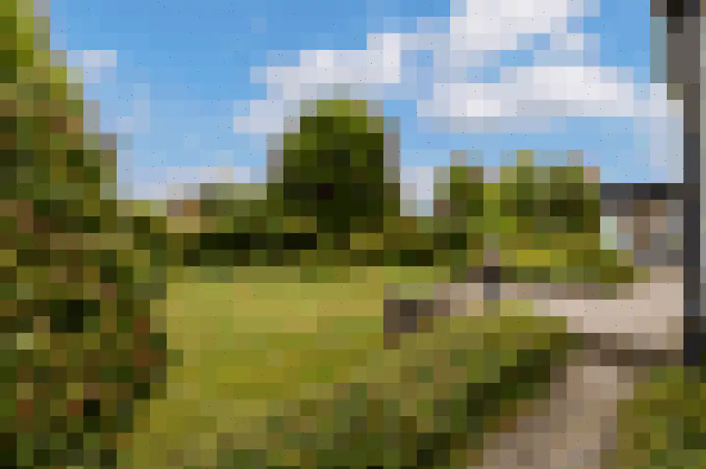 Klein Belgie 24 Vijfhuizen thumbnail 26