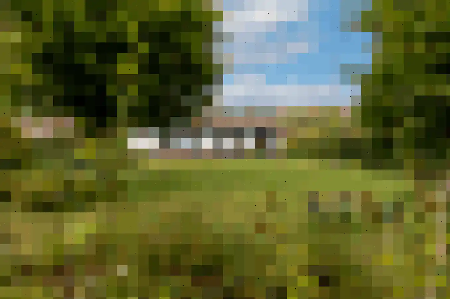 Klein Belgie 24 Vijfhuizen thumbnail 27