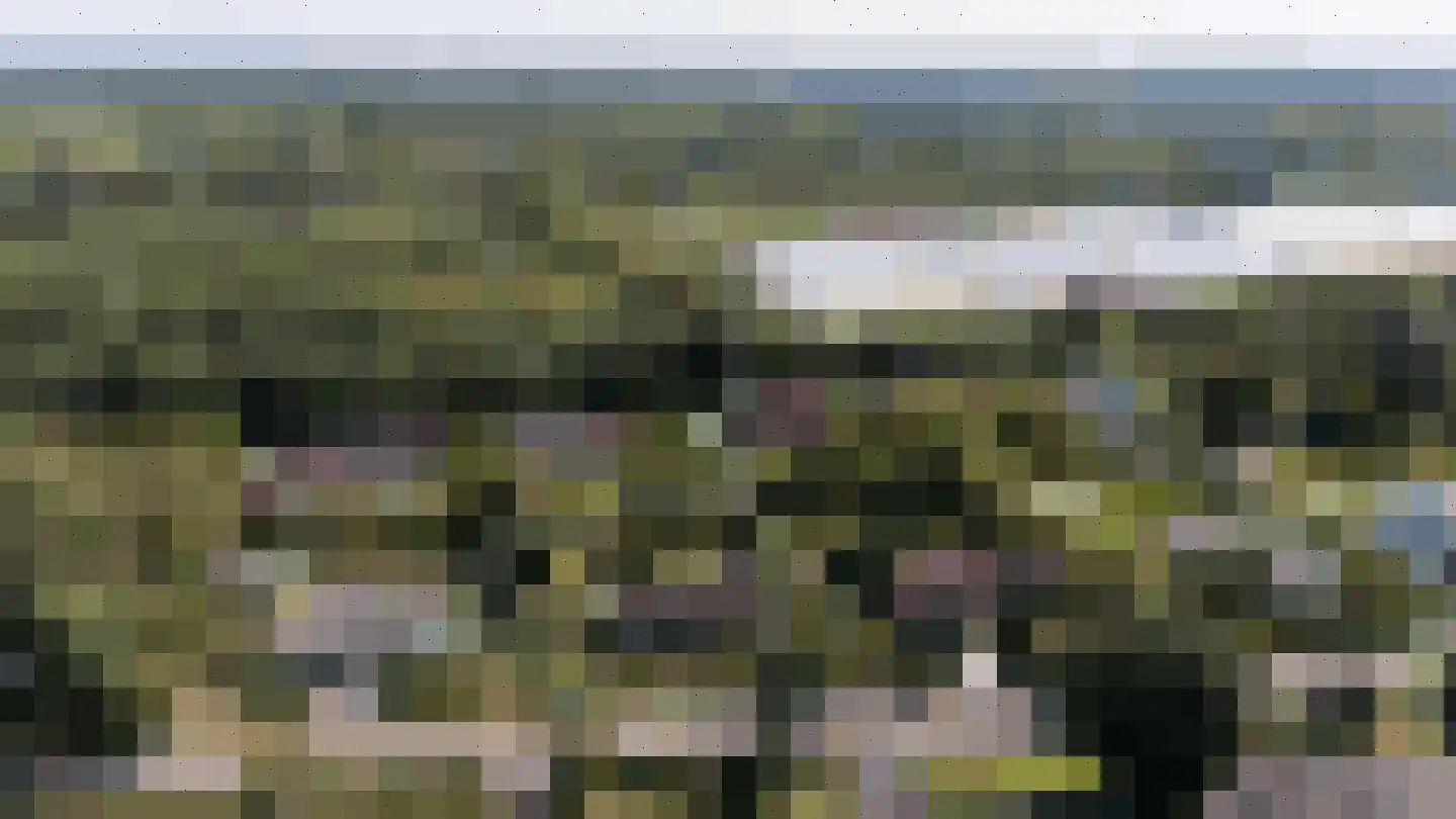 Klein Belgie 24 Vijfhuizen thumbnail 30