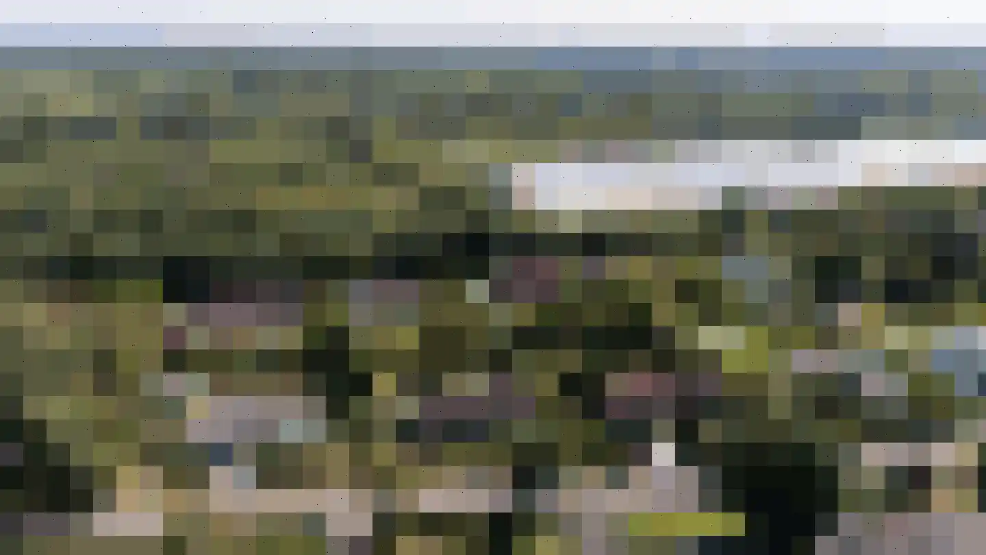 Klein Belgie 24 Vijfhuizen thumbnail 31