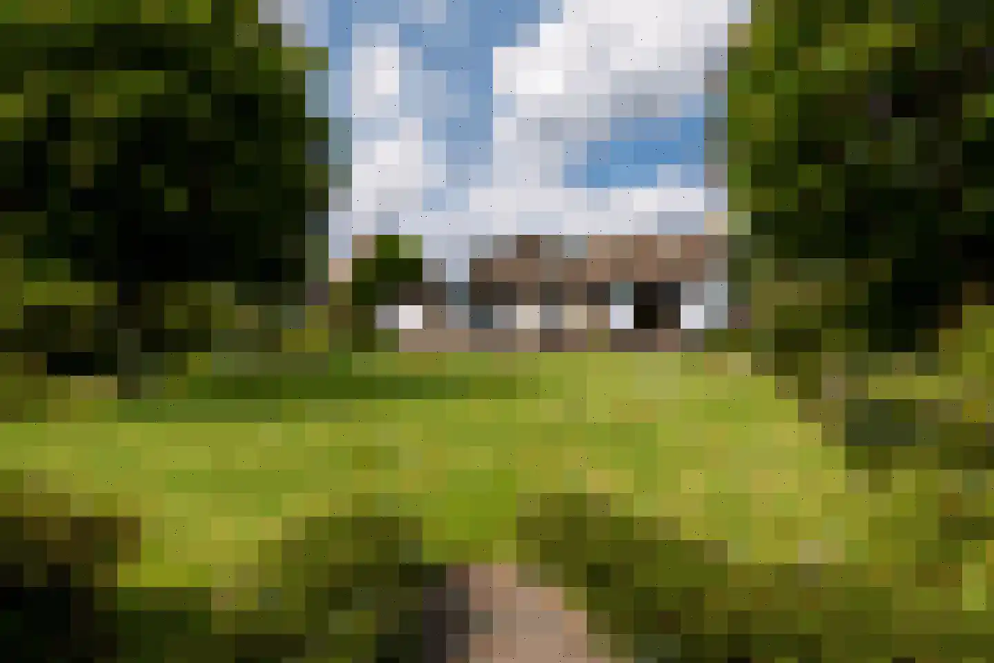 Klein Belgie 24 Vijfhuizen thumbnail 4