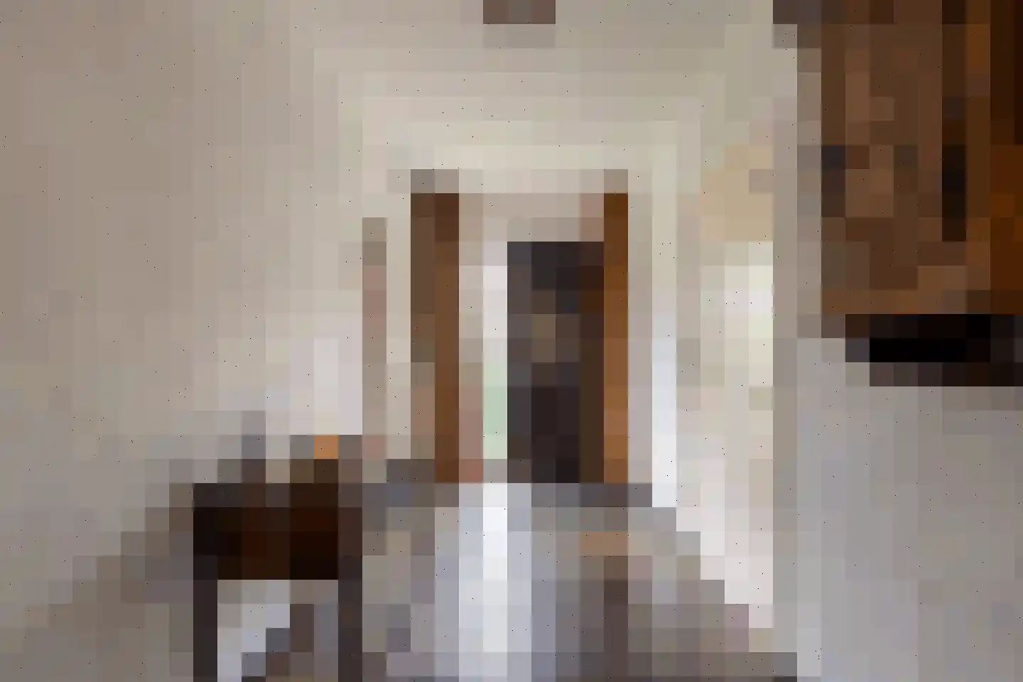 Klein Belgie 24 Vijfhuizen thumbnail 5