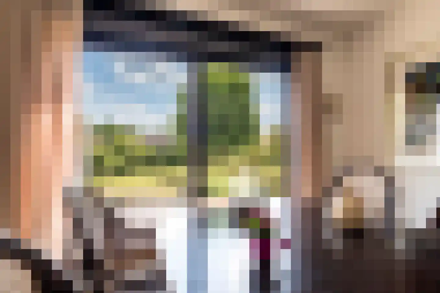 Klein Belgie 24 Vijfhuizen thumbnail 9