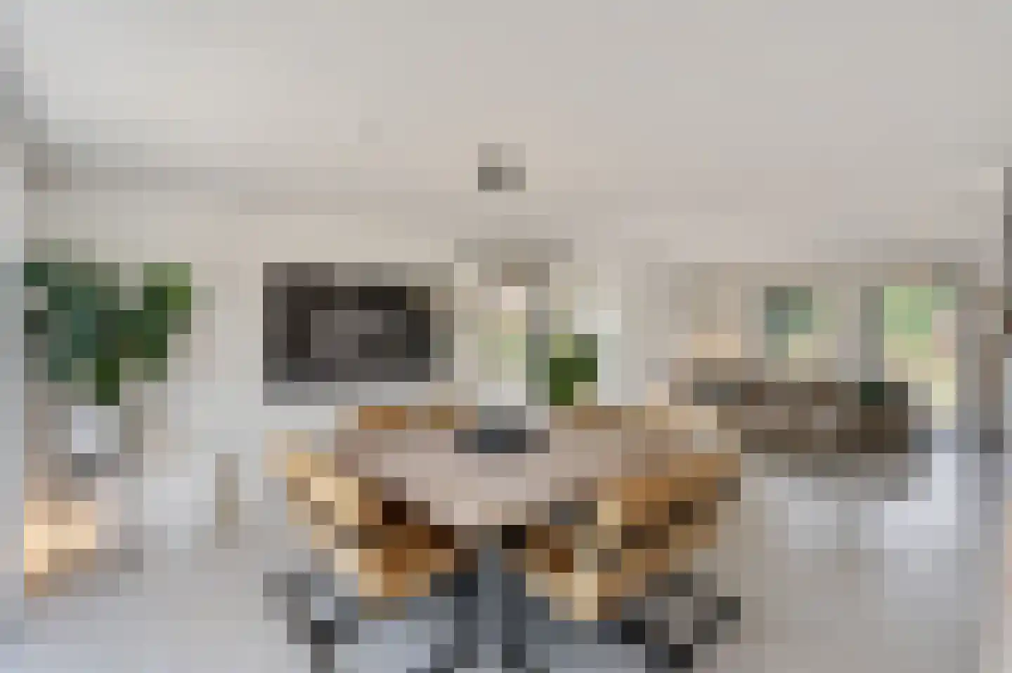 Klein Belgie 25 Vijfhuizen thumbnail 12