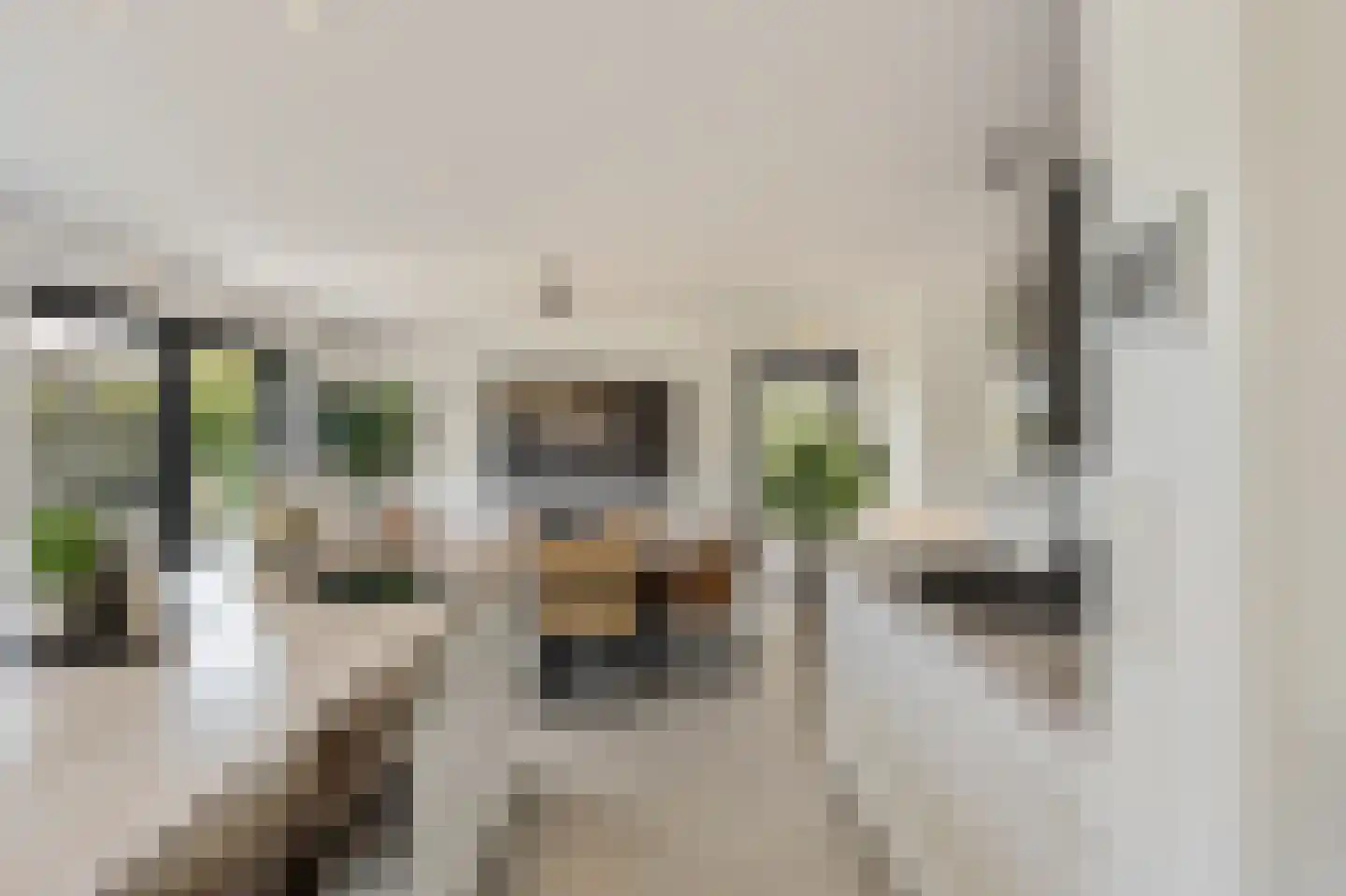 Klein Belgie 25 Vijfhuizen thumbnail 13