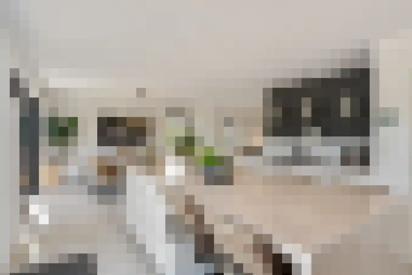 Klein Belgie 25 Vijfhuizen thumbnail 14