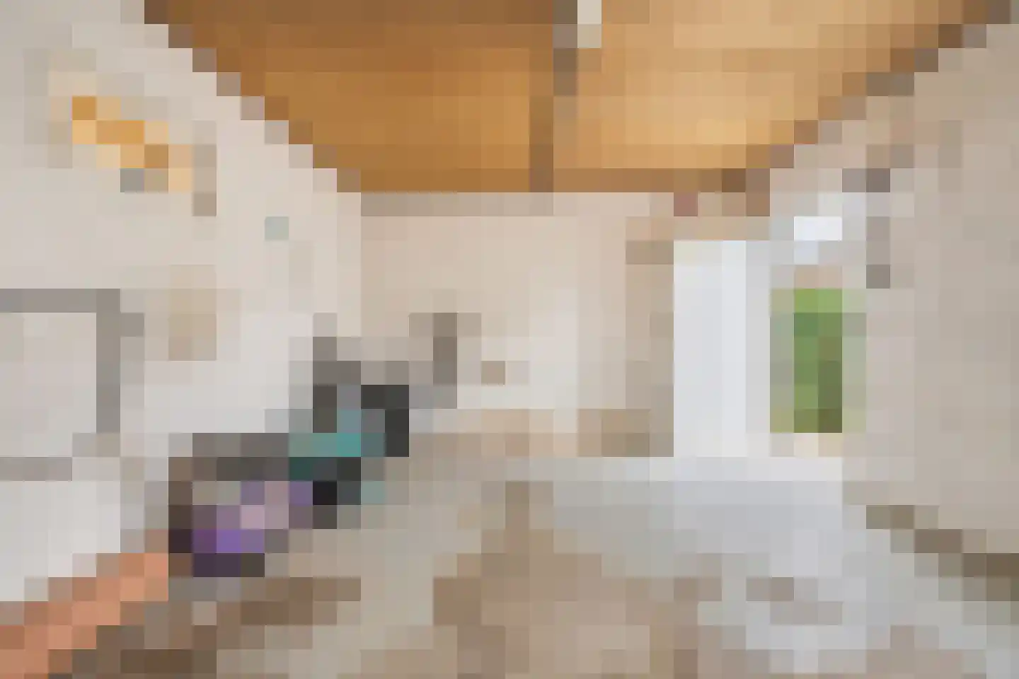 Klein Belgie 25 Vijfhuizen thumbnail 21