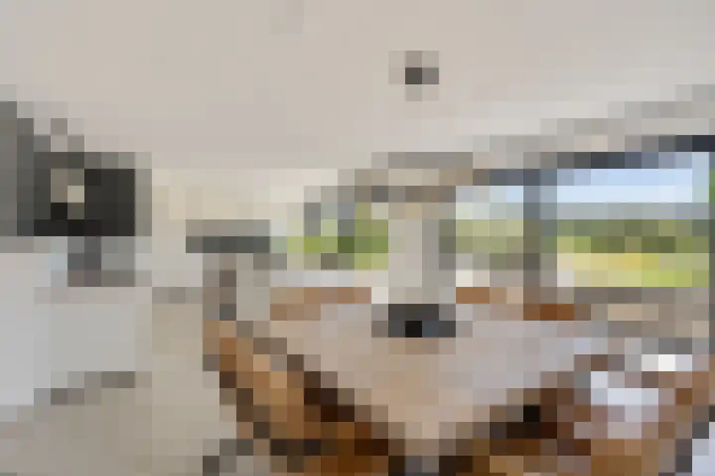 Klein Belgie 25 Vijfhuizen thumbnail 4