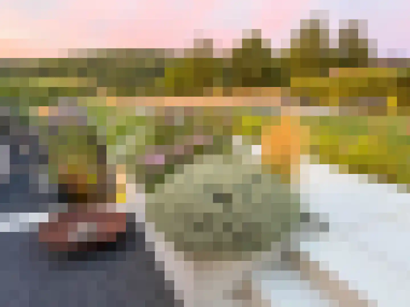 Klein Belgie 25 Vijfhuizen thumbnail 40