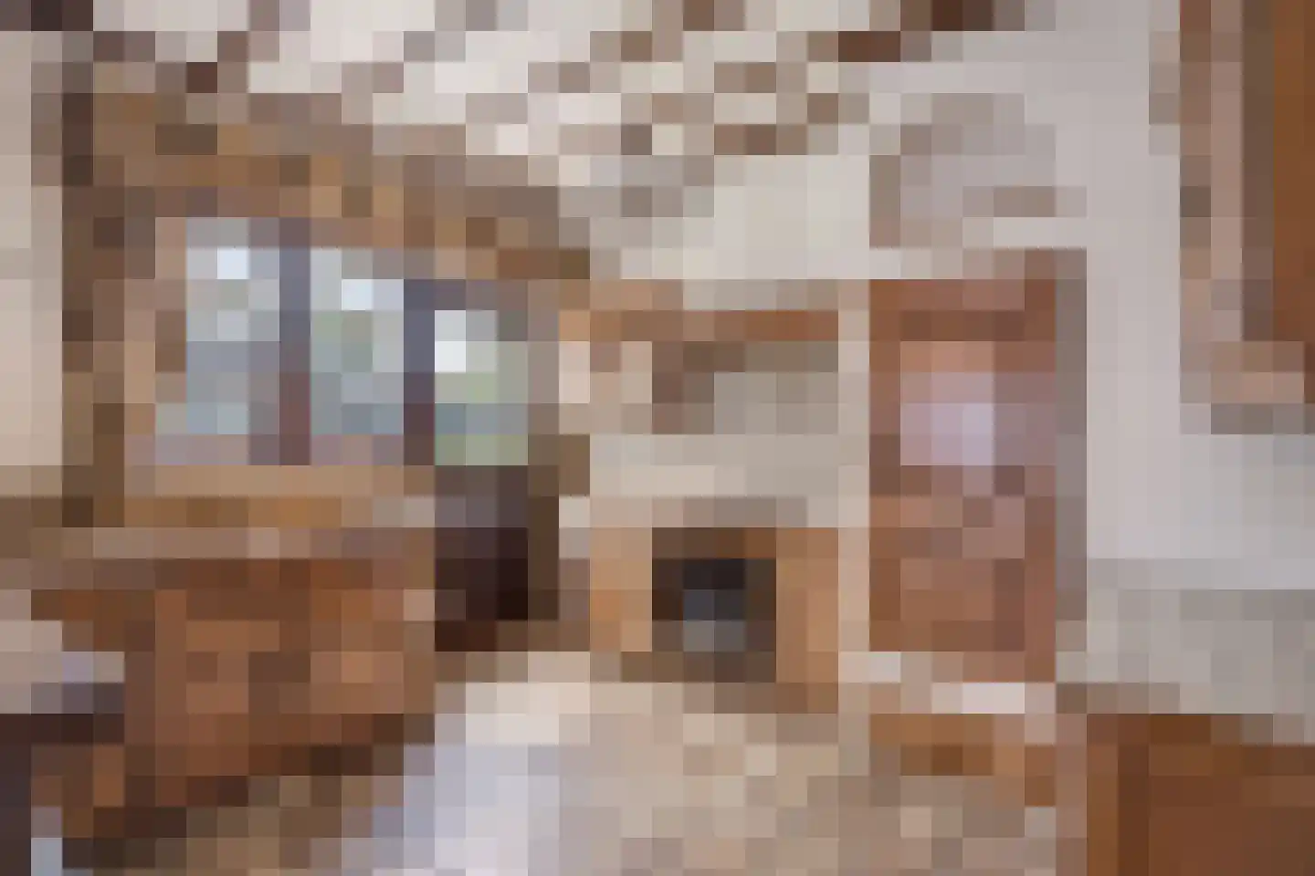 Klein Belgie 25 Vijfhuizen thumbnail 8