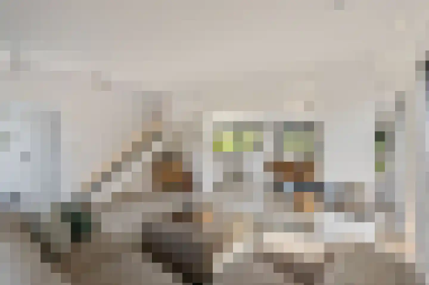 Klein Belgie 25 Vijfhuizen thumbnail 8