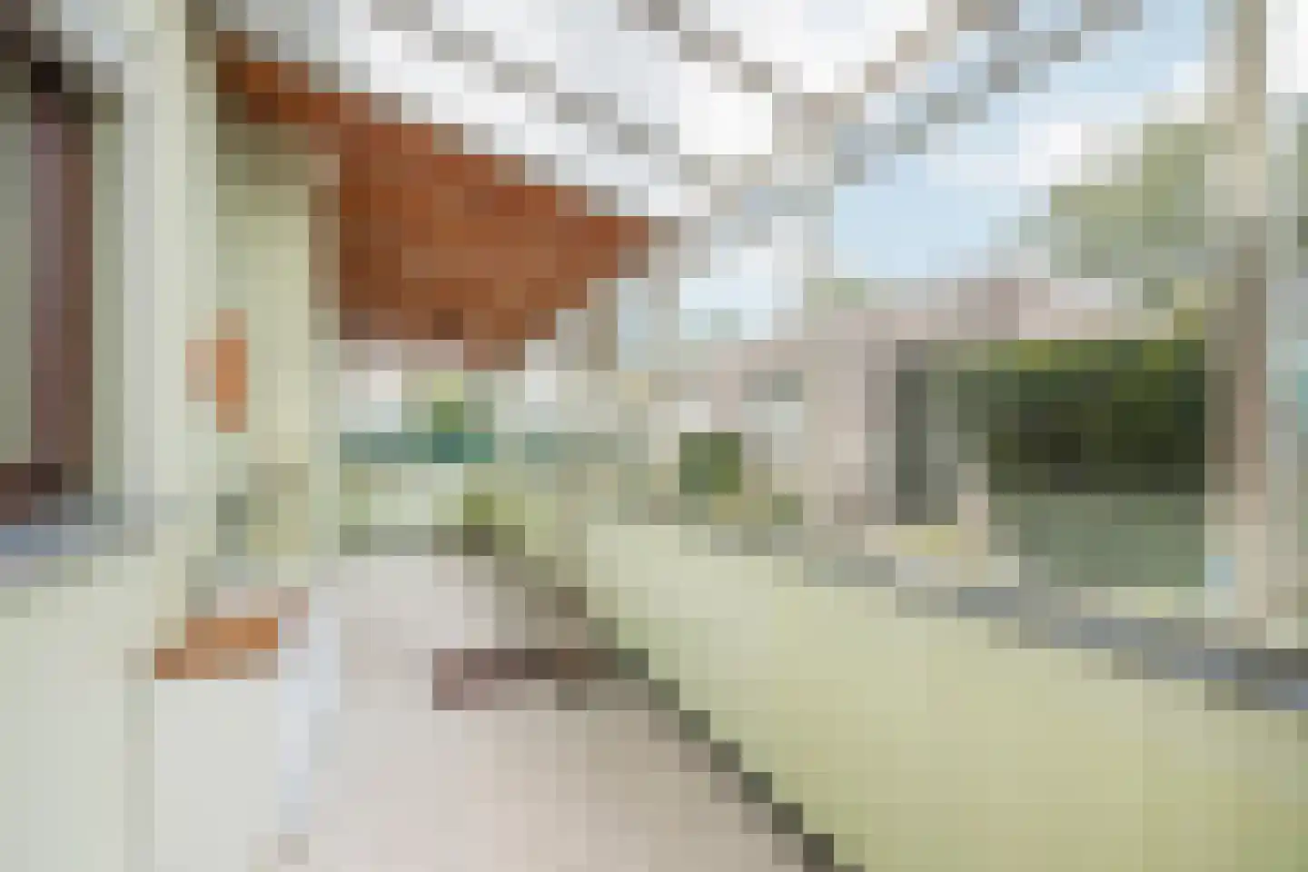 Klein Belgie 25 Vijfhuizen thumbnail 9