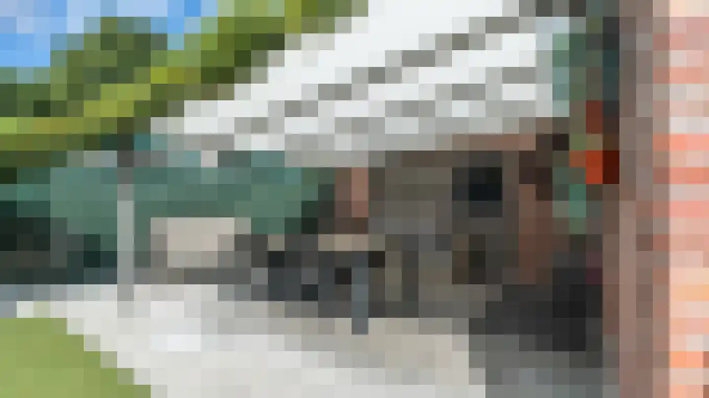 Klein Belgie 26 Vijfhuizen thumbnail 29