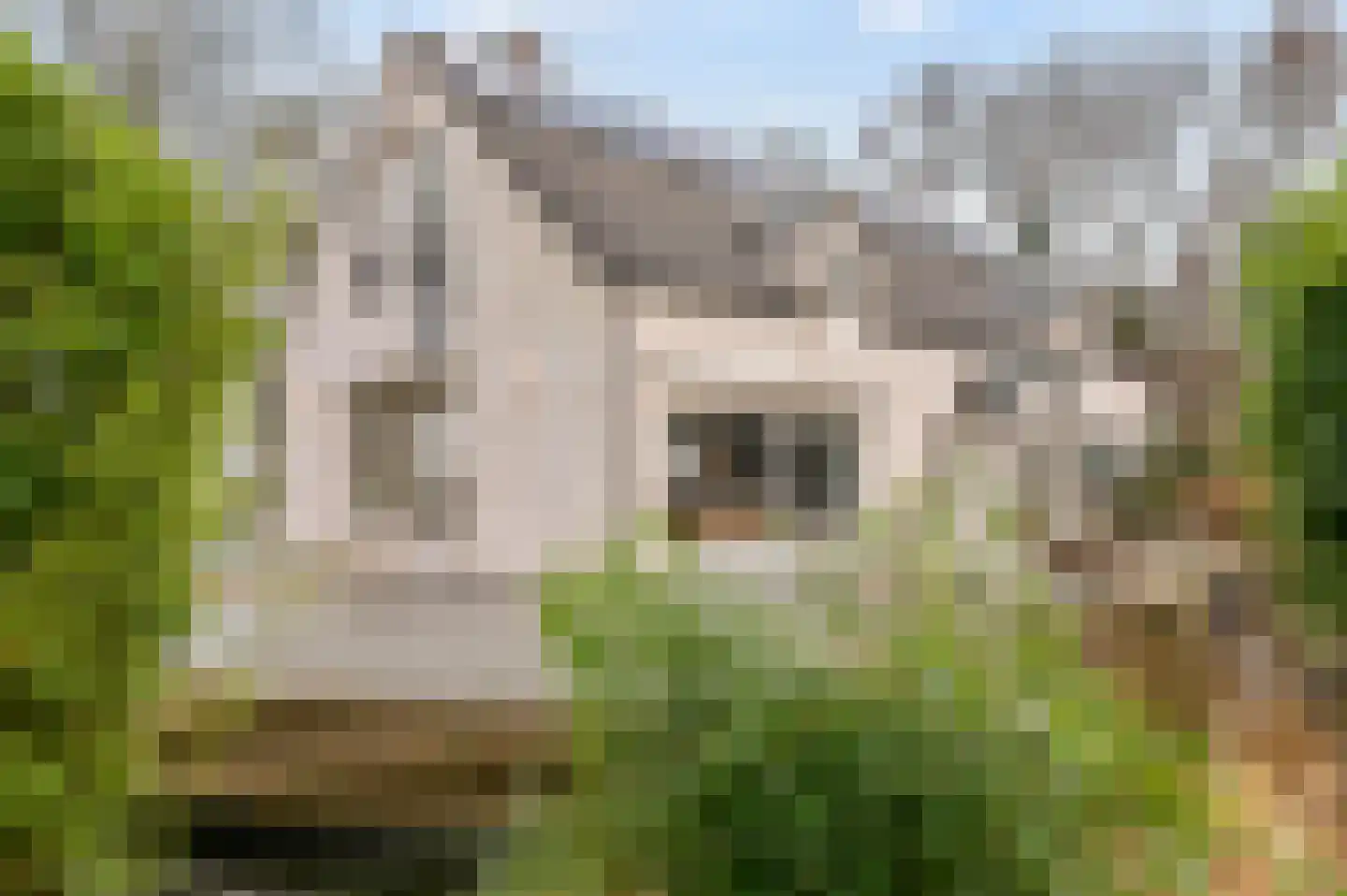 Klein Belgie 27 Vijfhuizen