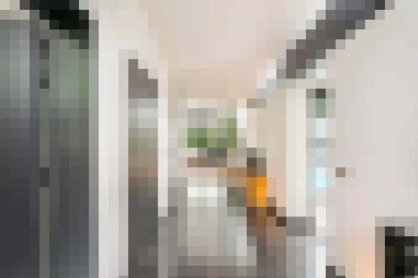 Klein Belgie 27 Vijfhuizen thumbnail 14