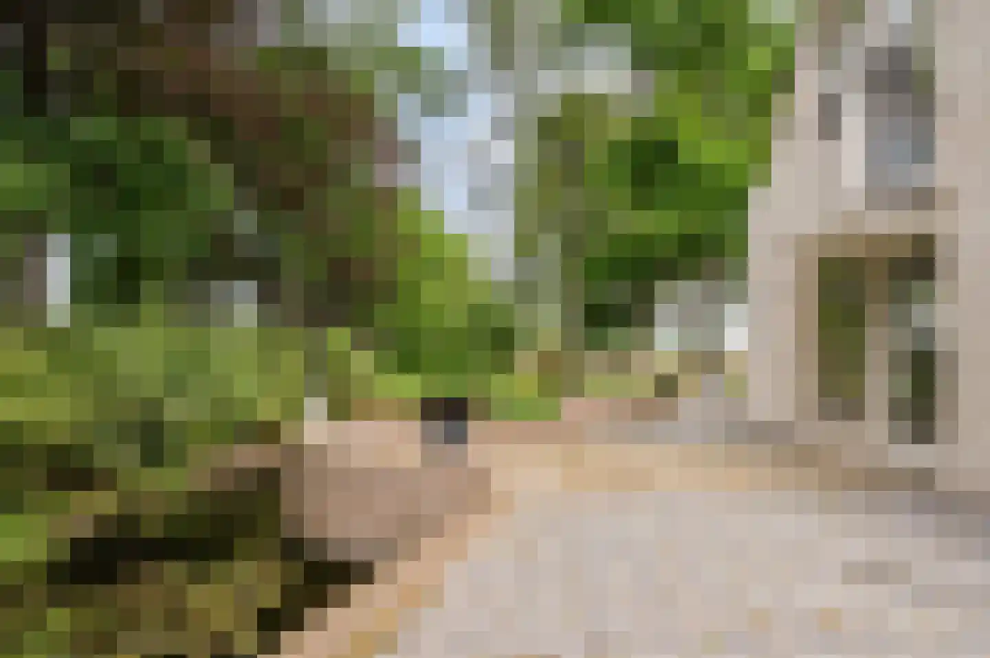 Klein Belgie 27 Vijfhuizen thumbnail 22