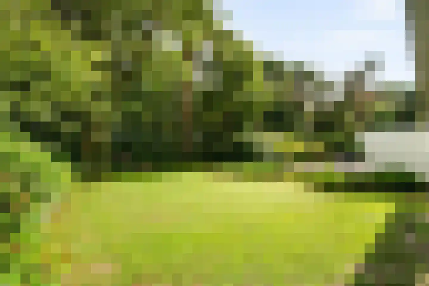Klein Belgie 27 Vijfhuizen thumbnail 29