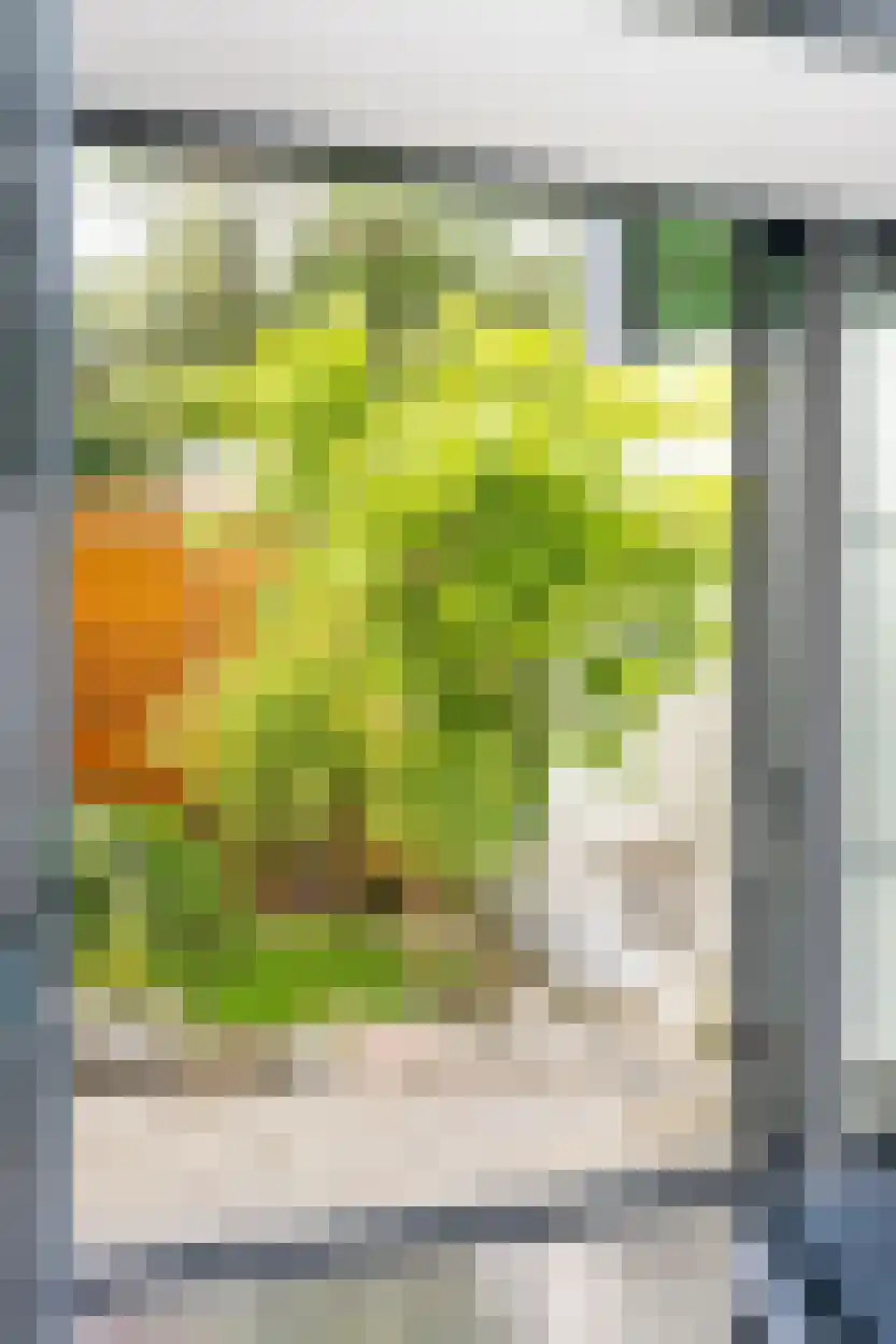Klein Belgie 27 Vijfhuizen thumbnail 32