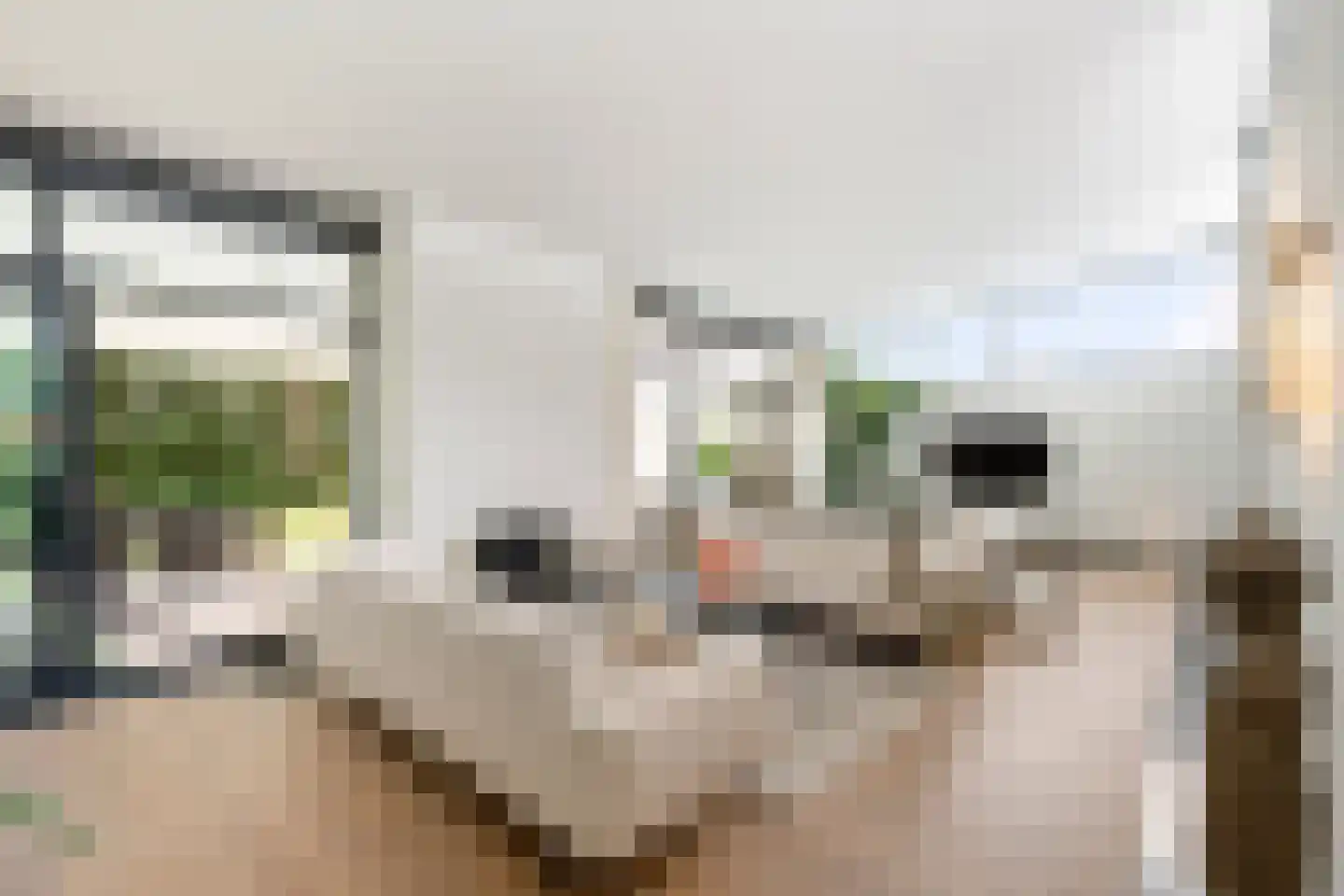 Klein Belgie 27 Vijfhuizen thumbnail 4