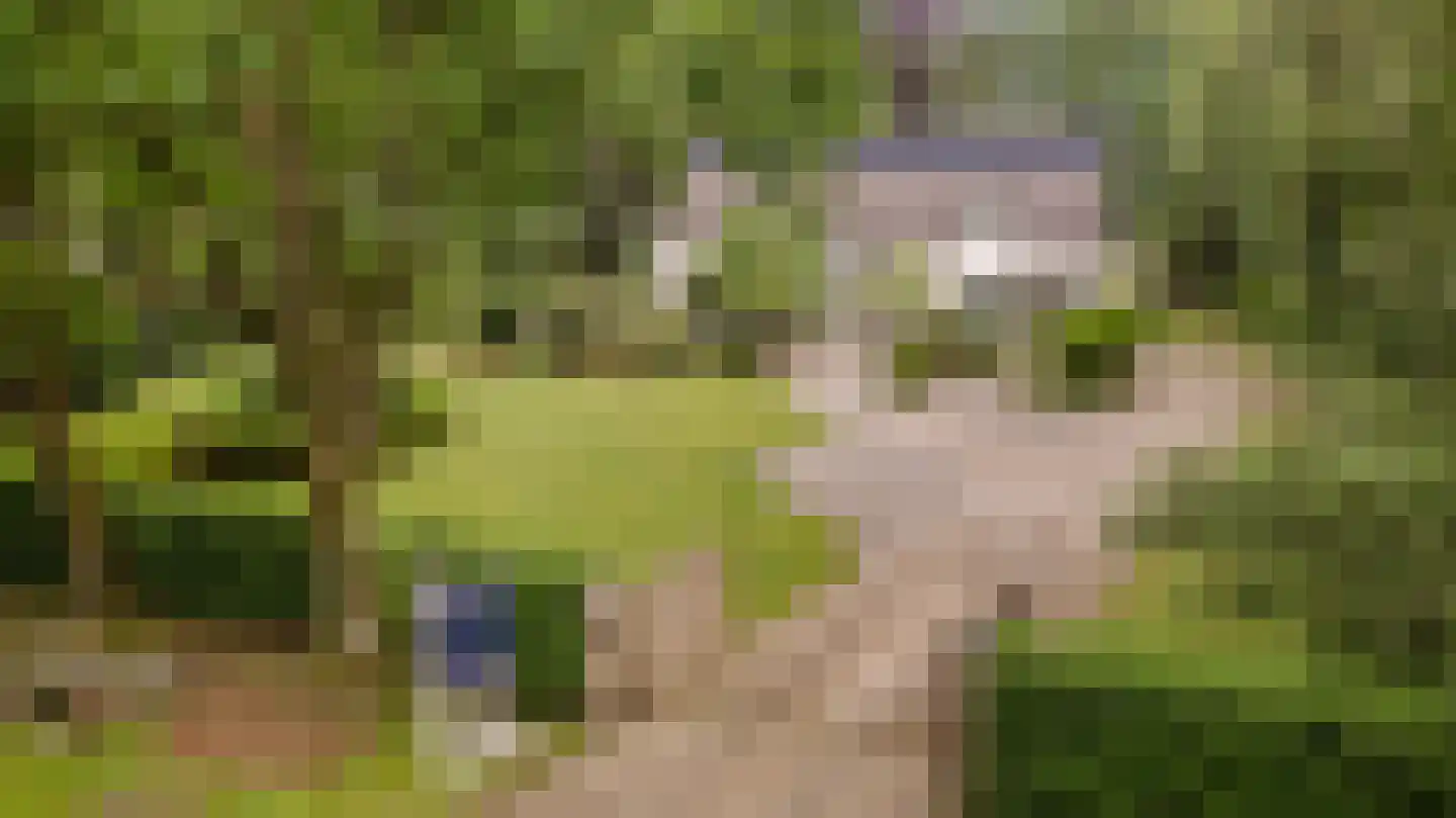Klein Belgie 27 Vijfhuizen thumbnail 4