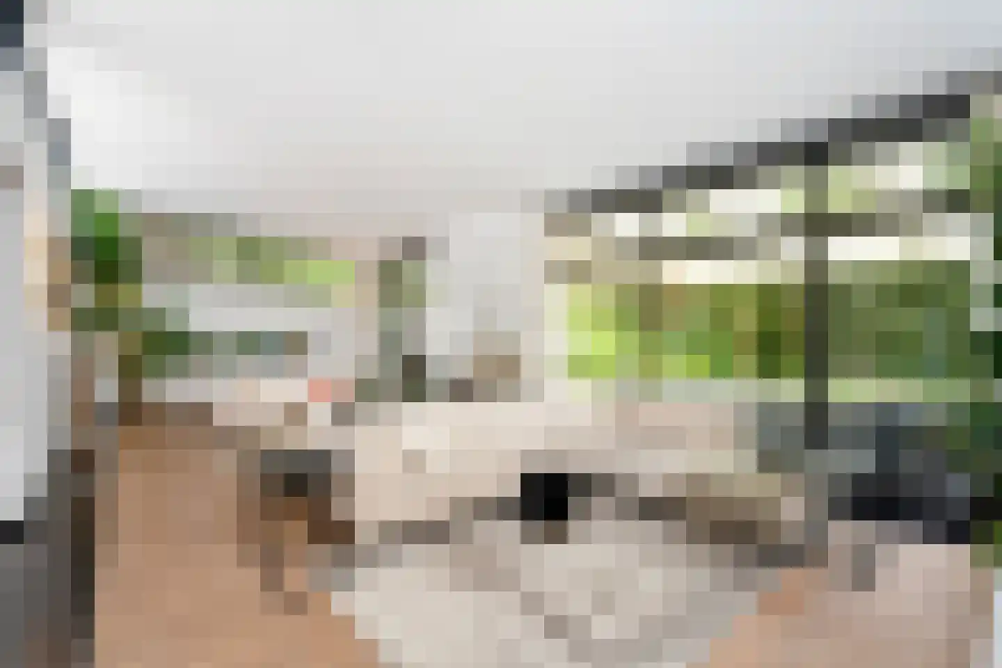Klein Belgie 27 Vijfhuizen thumbnail 5