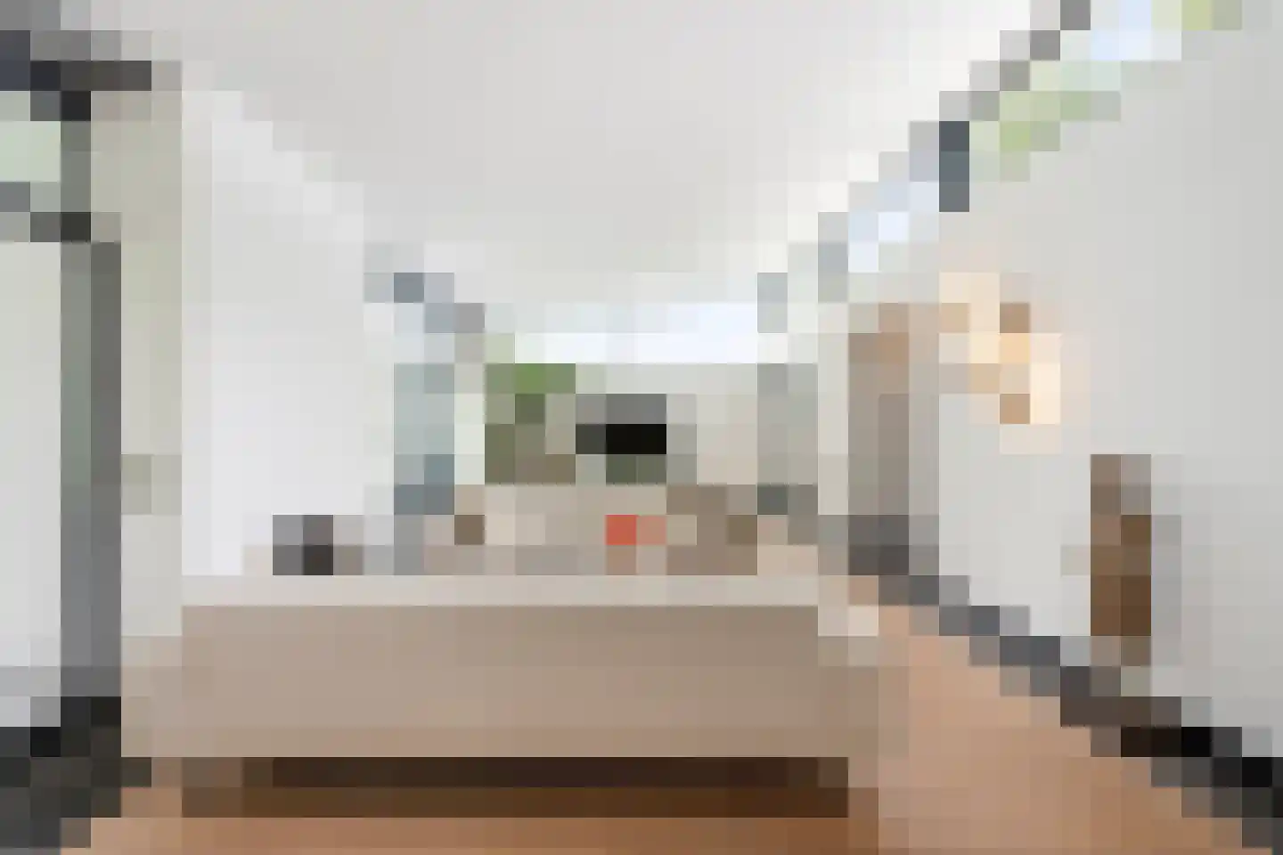 Klein Belgie 27 Vijfhuizen thumbnail 6