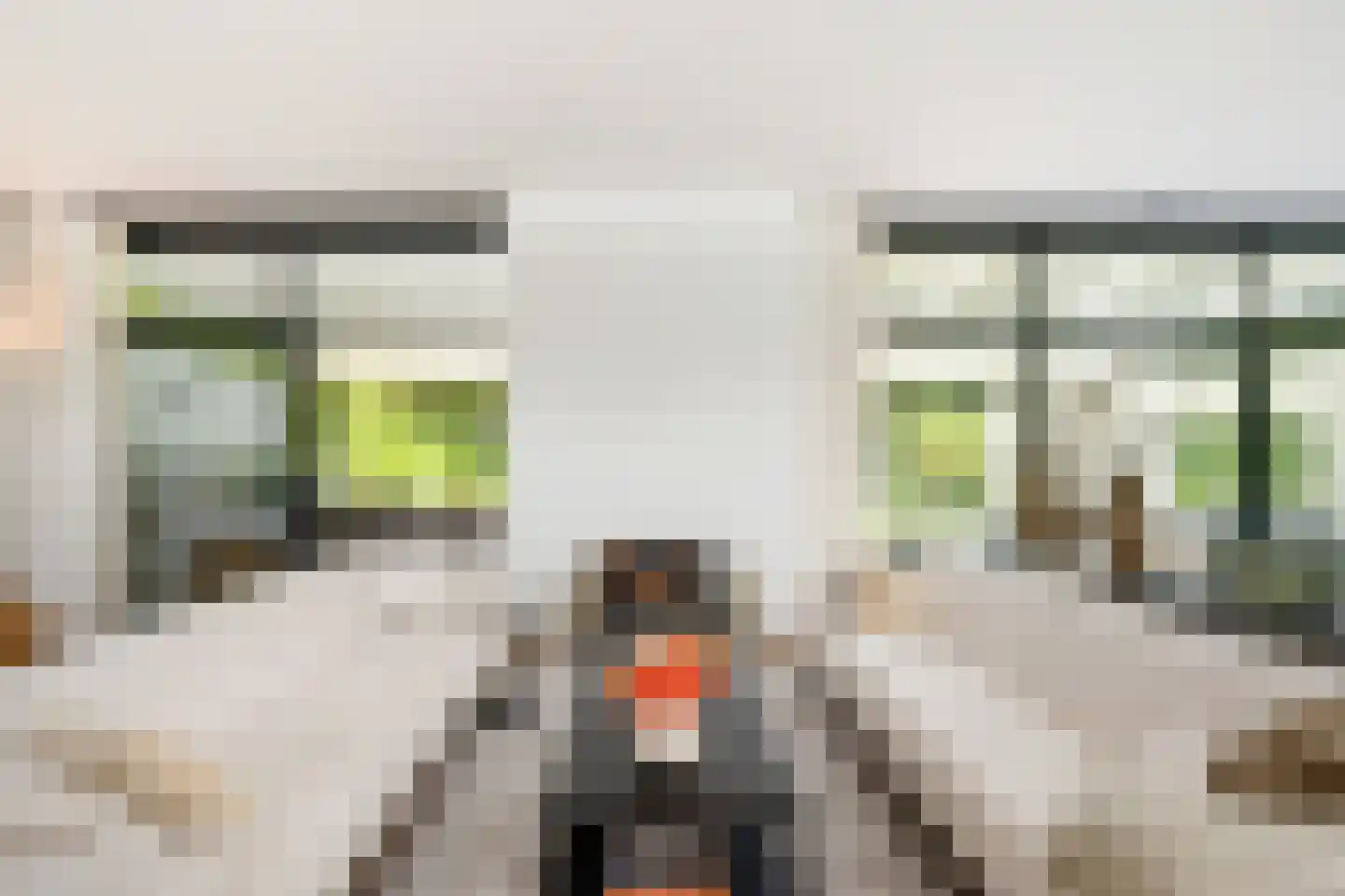 Klein Belgie 27 Vijfhuizen thumbnail 7