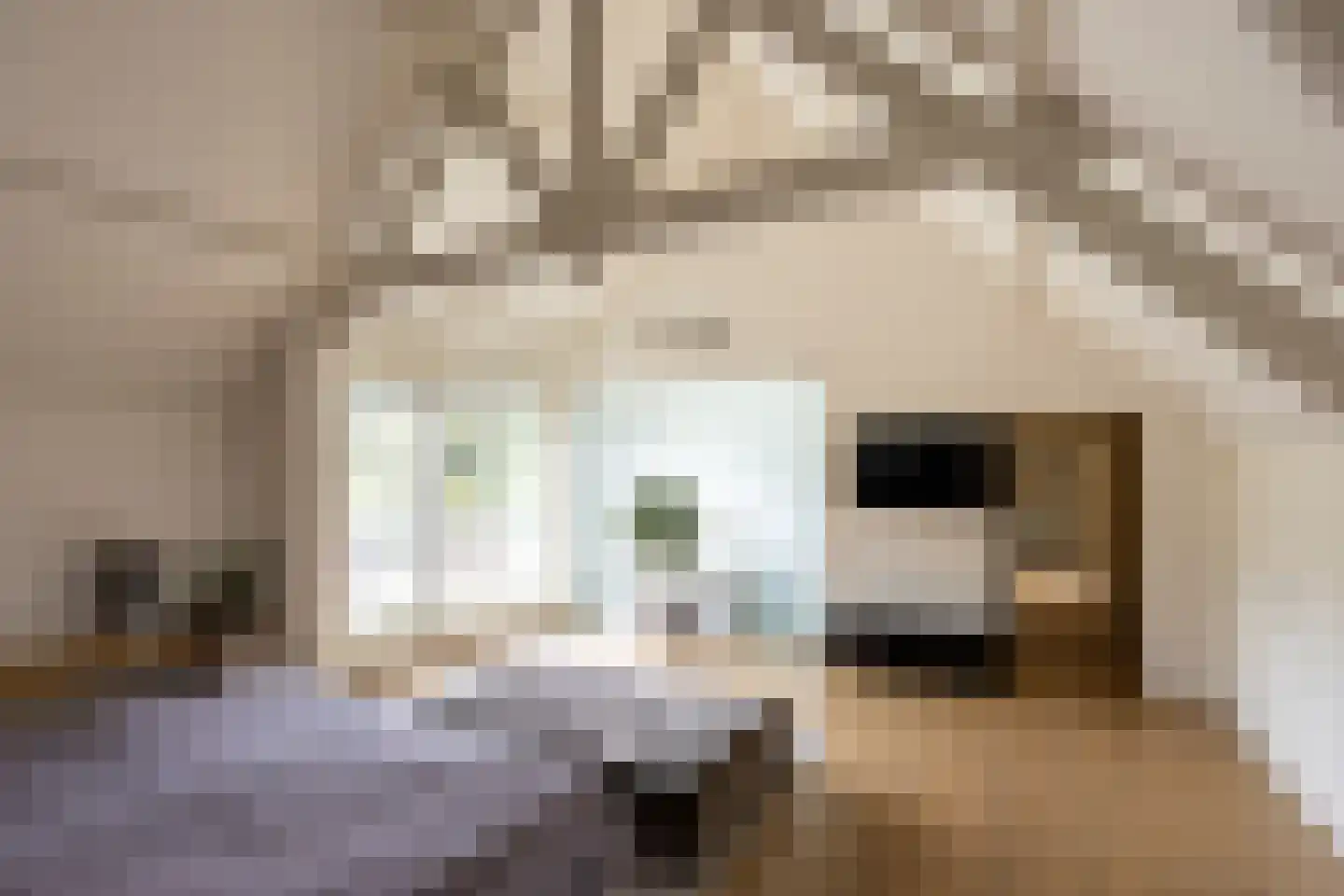 Klein Belgie 29 Vijfhuizen thumbnail 13