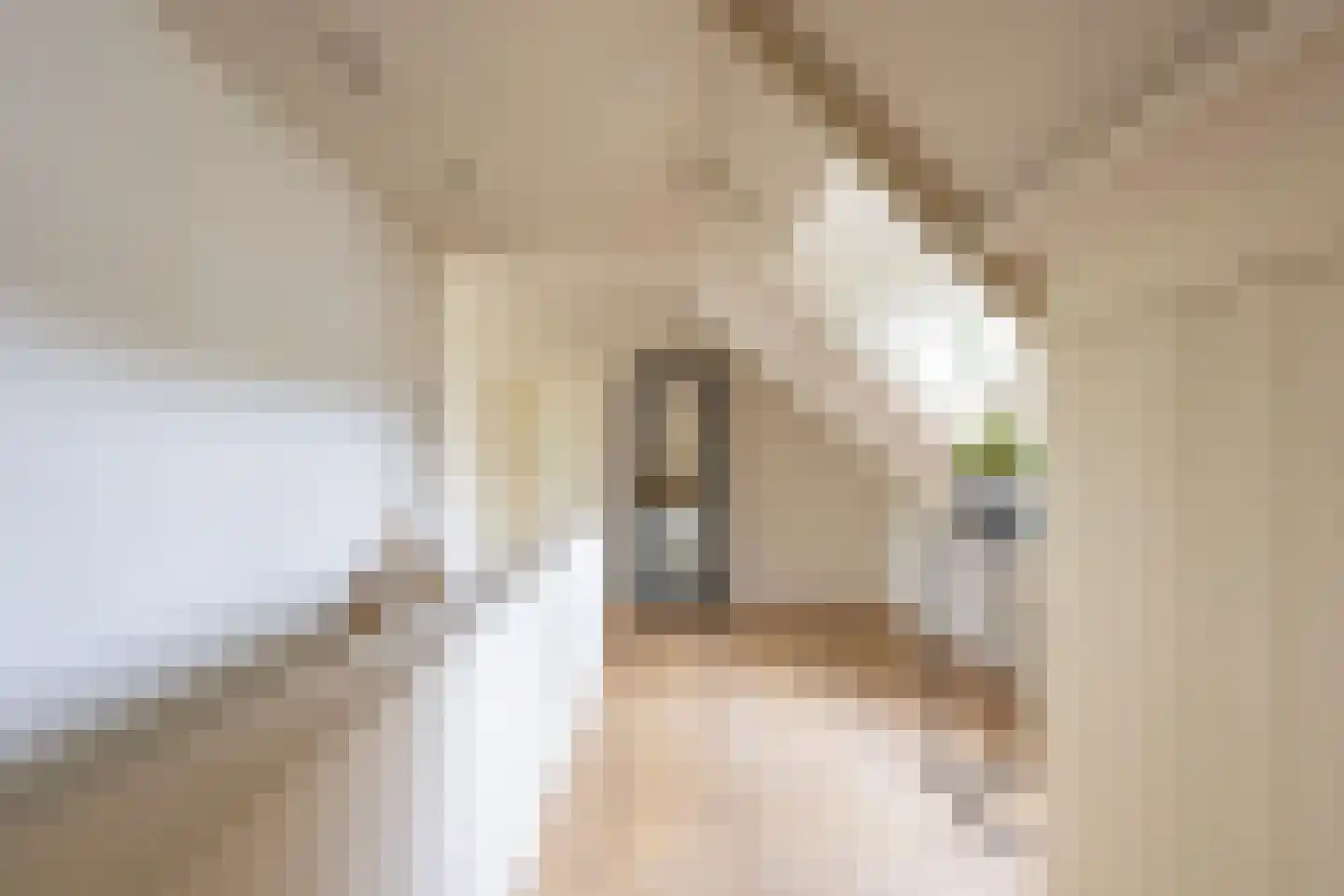 Klein Belgie 29 Vijfhuizen thumbnail 21