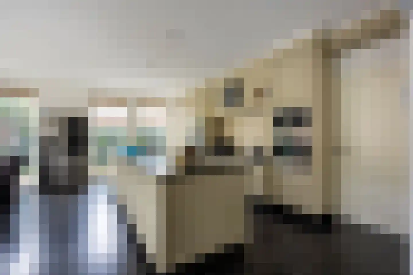 Klein Belgie 29 Vijfhuizen thumbnail 27