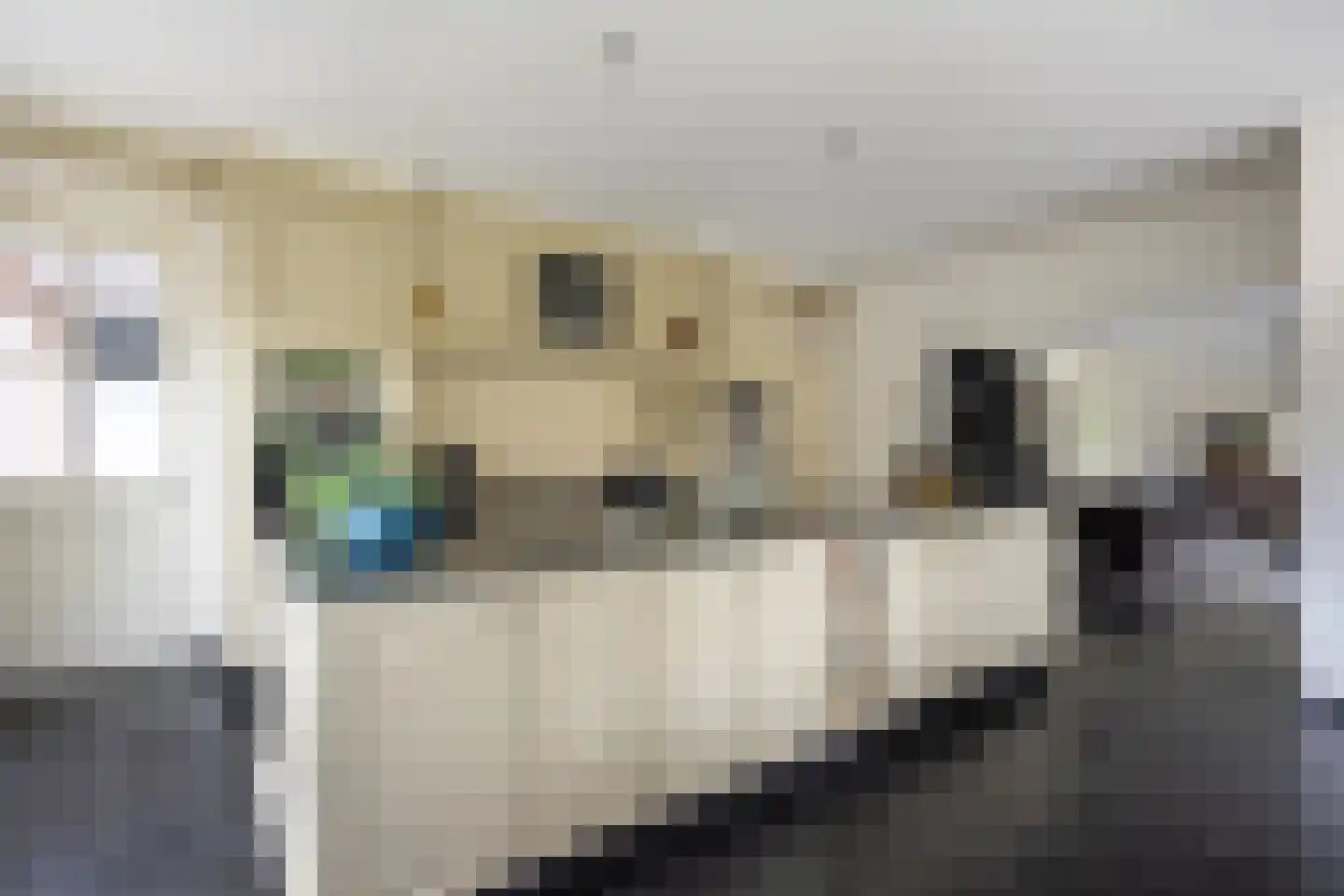 Klein Belgie 29 Vijfhuizen thumbnail 28