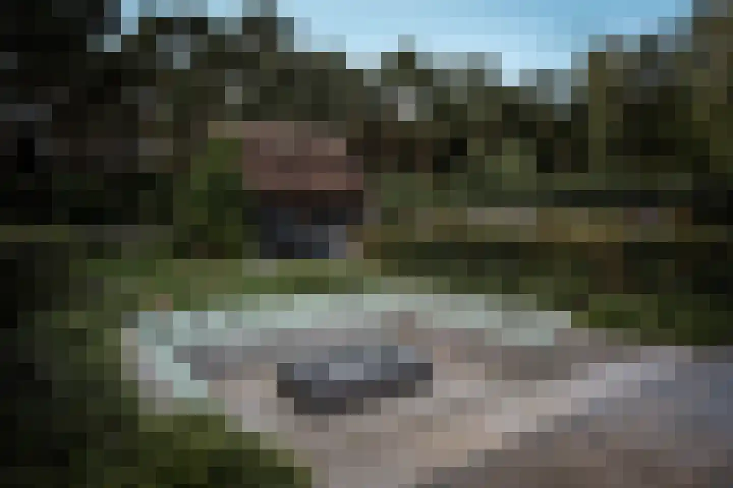 Klein Belgie 29 Vijfhuizen thumbnail 45