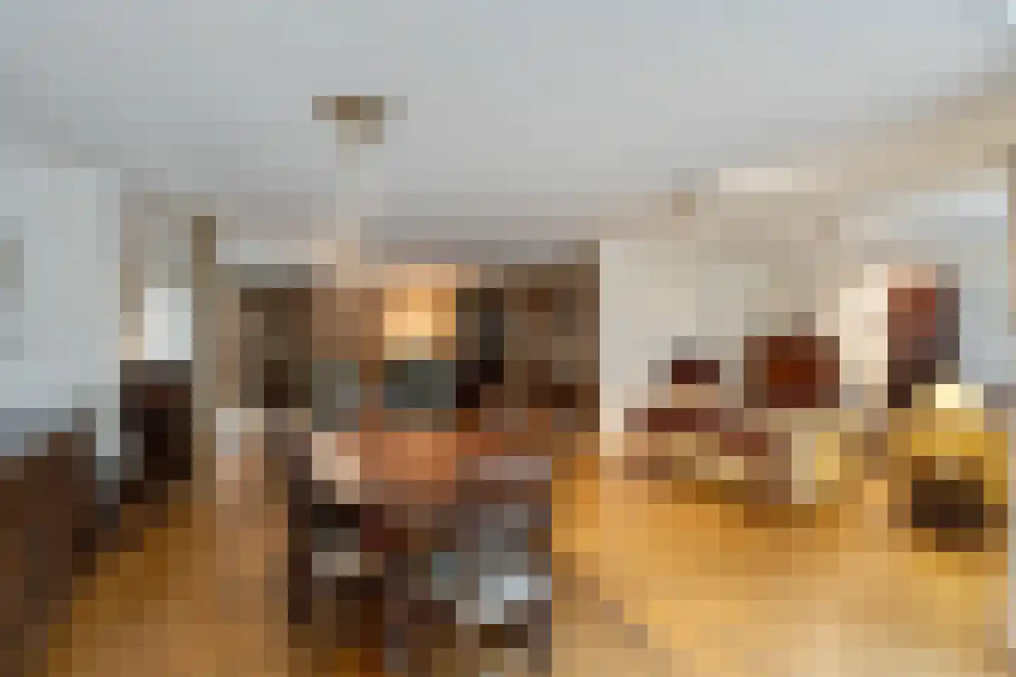 Klein Belgie 3 Vijfhuizen thumbnail 10