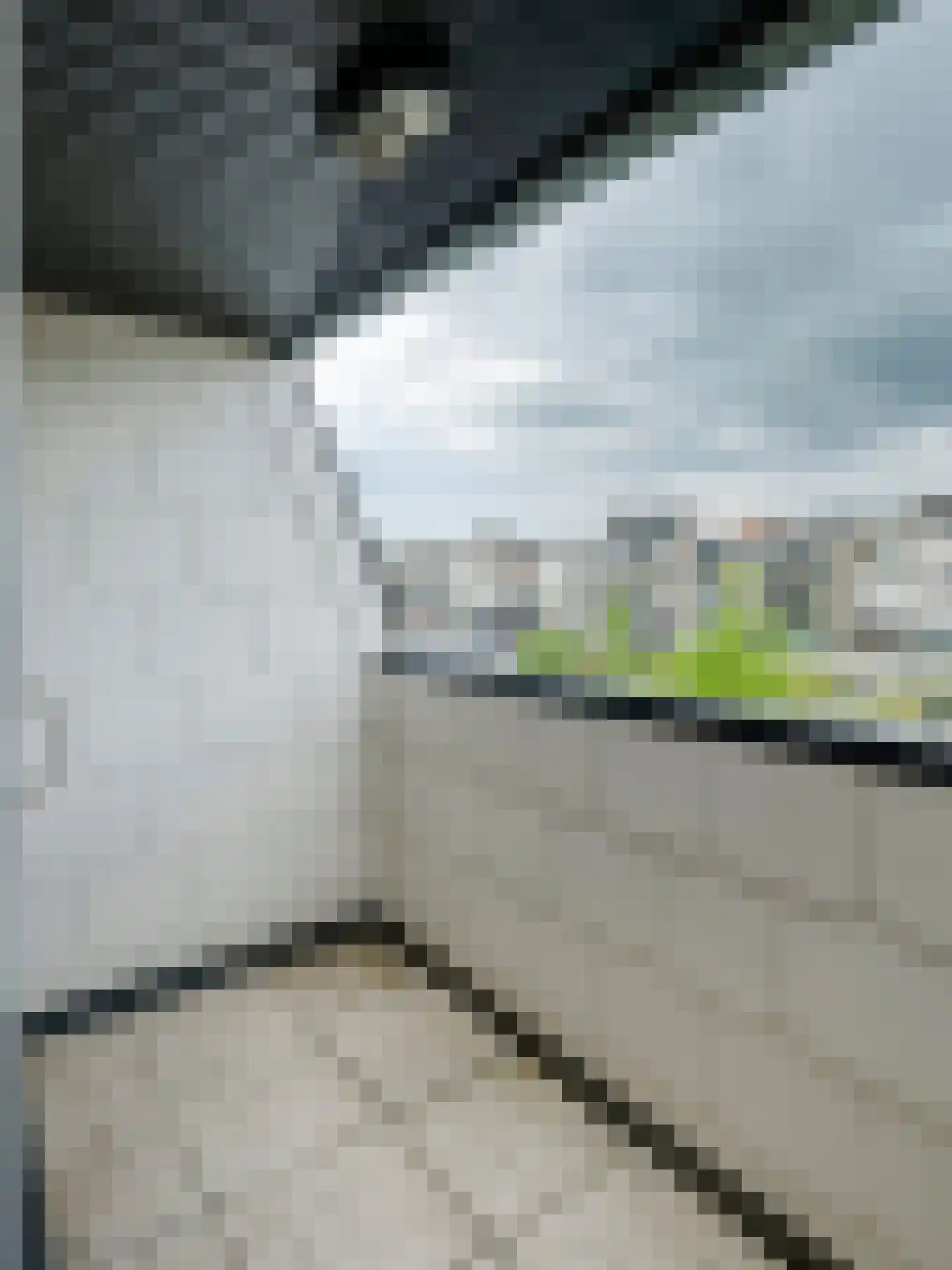 Klein Belgie 3 Vijfhuizen thumbnail 13