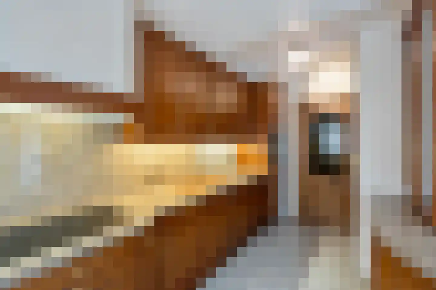 Klein Belgie 3 Vijfhuizen thumbnail 14