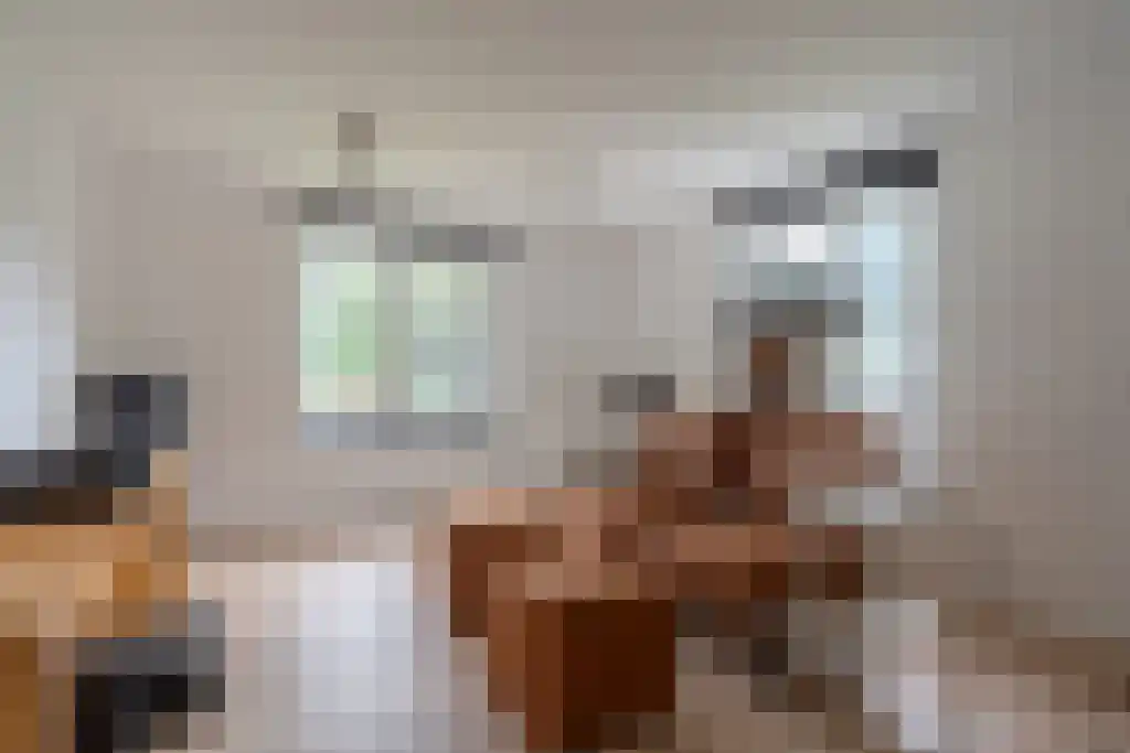 Klein Belgie 3 Vijfhuizen thumbnail 17