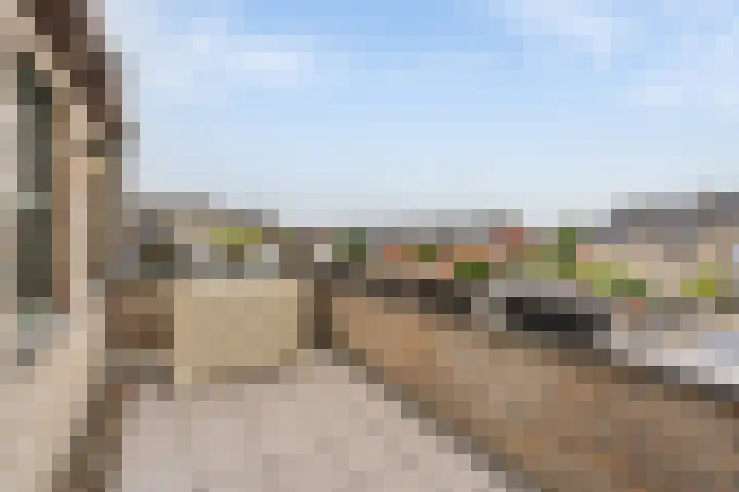 Klein Belgie 3 Vijfhuizen thumbnail 20