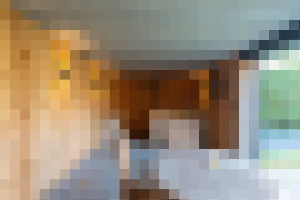 Klein Belgie 3 Vijfhuizen thumbnail 20